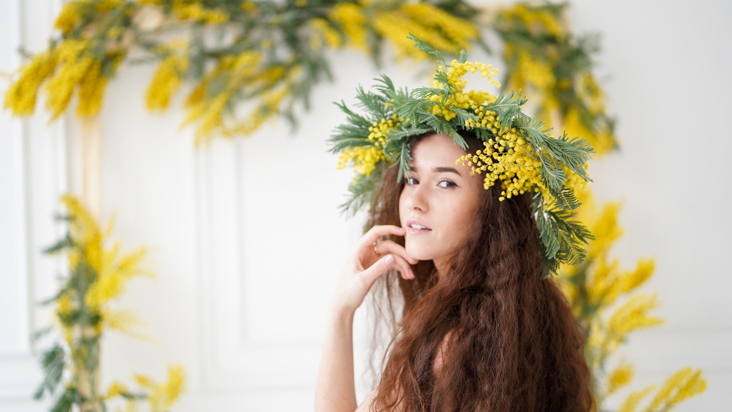 Мимоза. Фотографии от Евгении Кузнецовой. Москва, Сочи, Краснодар