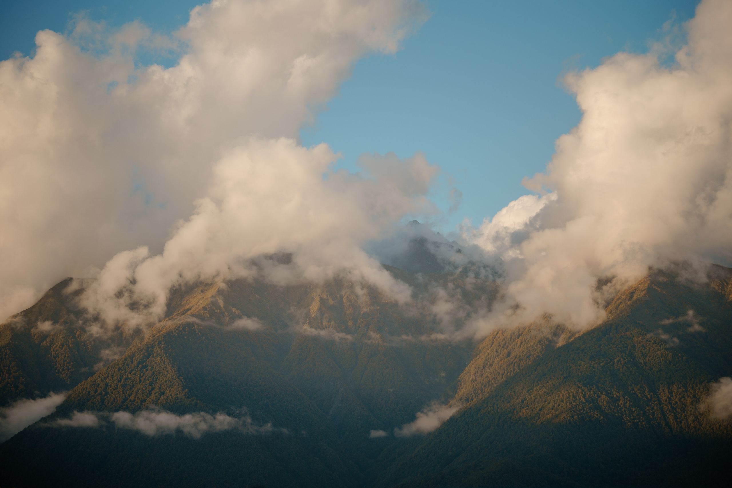 Репортажный фотограф в Сочи. Репортажный фотограф в Москве Саша Дружинина