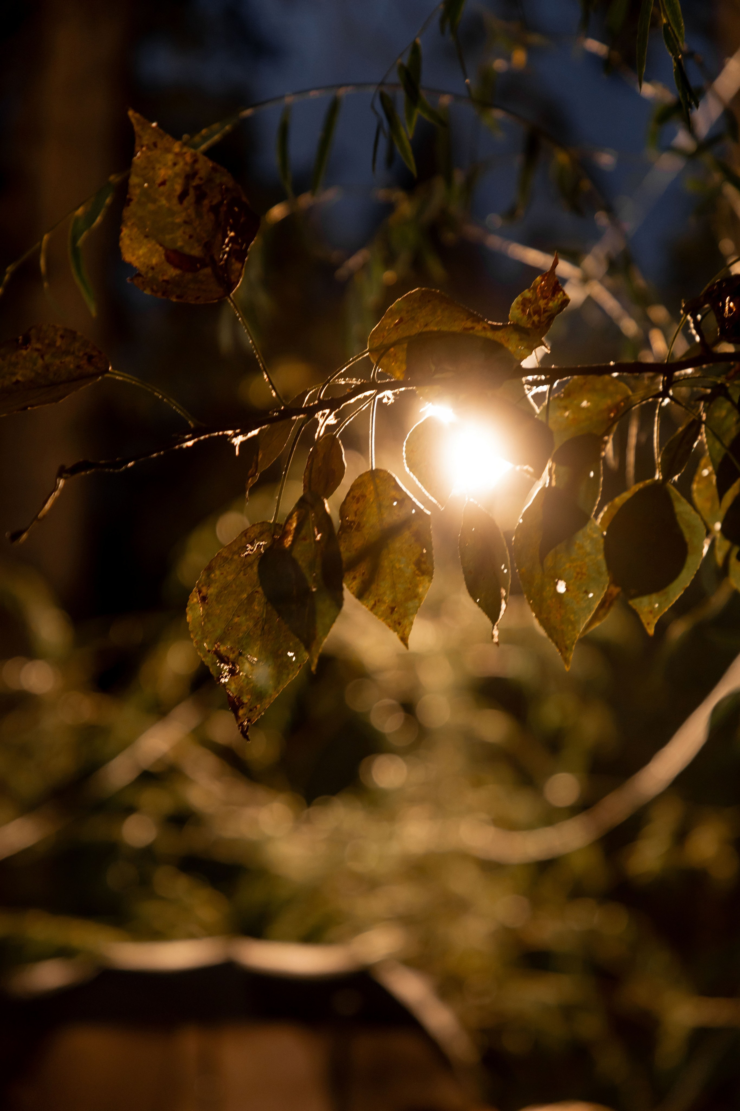 Итальянская свадьба. Лада Канана Свадебный и семейный фотограф