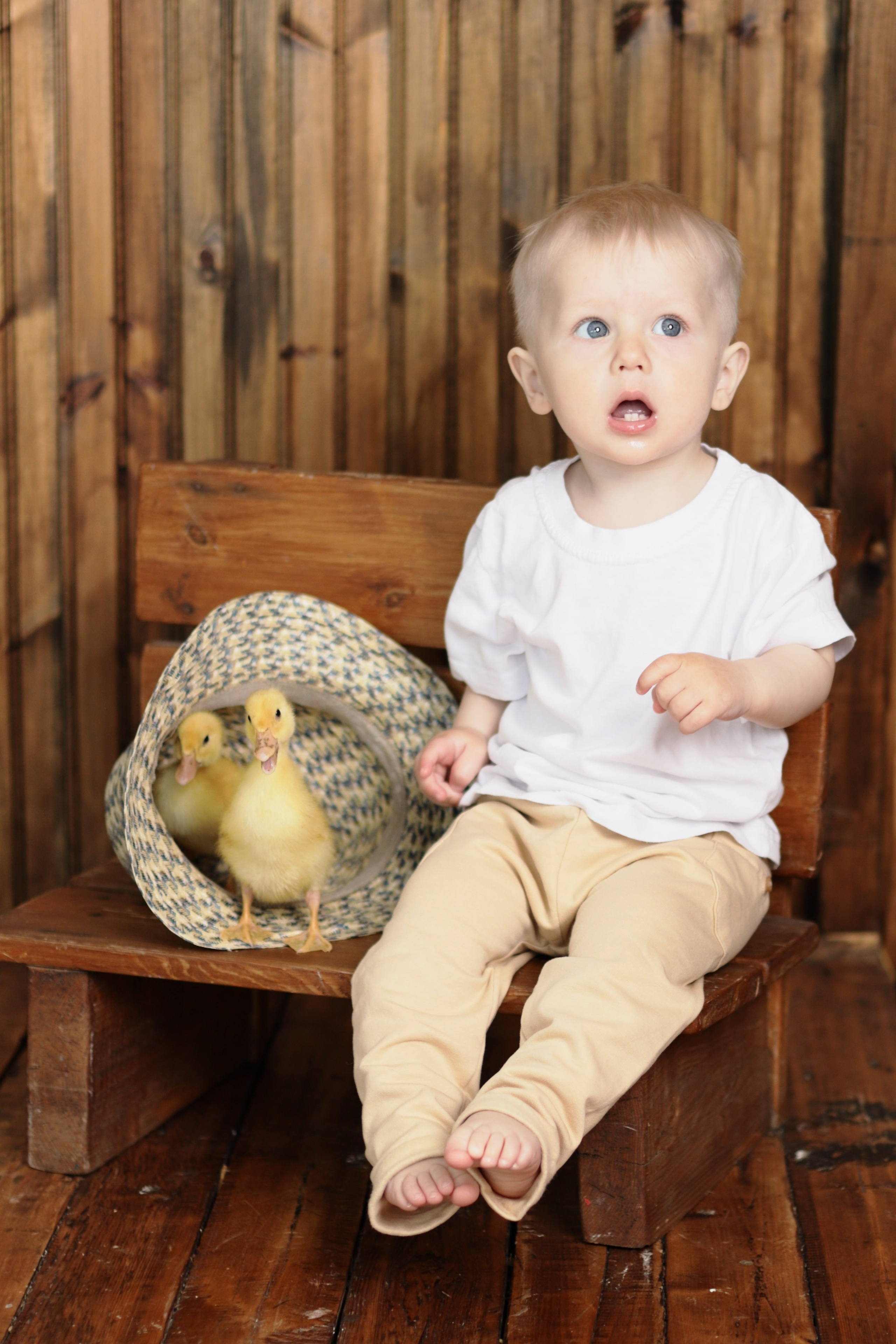 В студии. Семейный фотограф и новорожденных в Старом Осколе Анна Старкова,