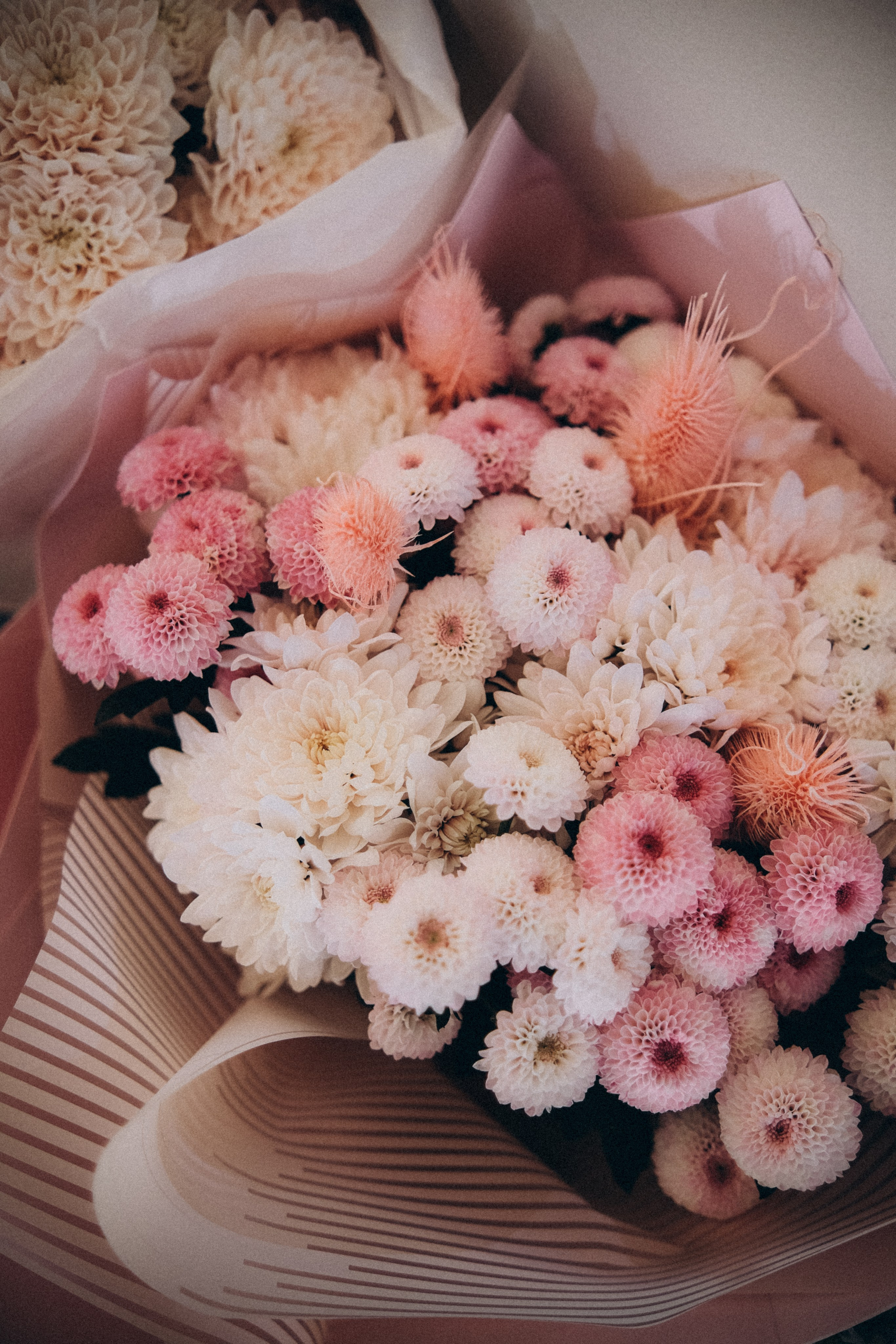 Рида & Богдан. Пушкин. Phdkvmr.ru