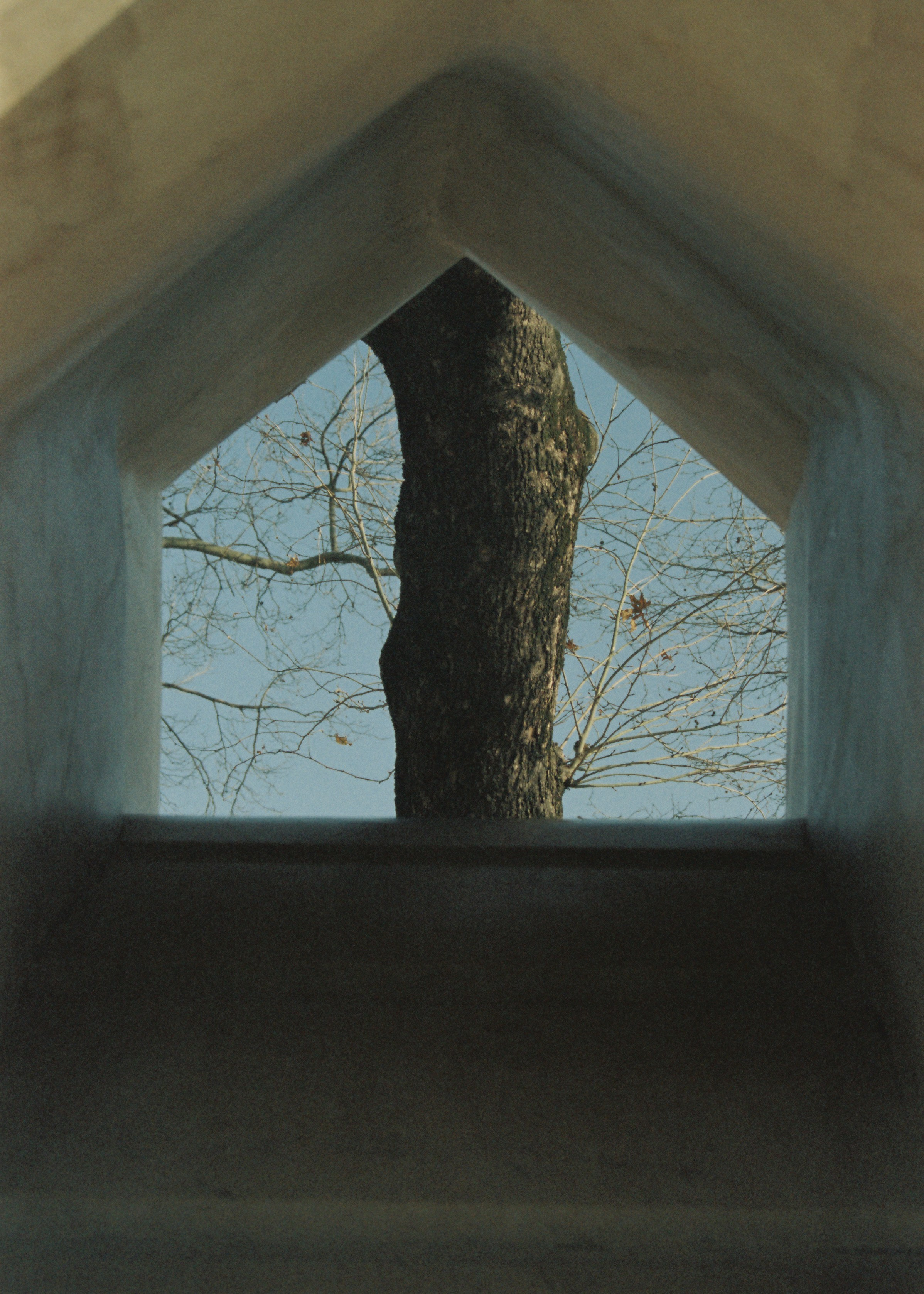 Film chronicle. Kosky ilya