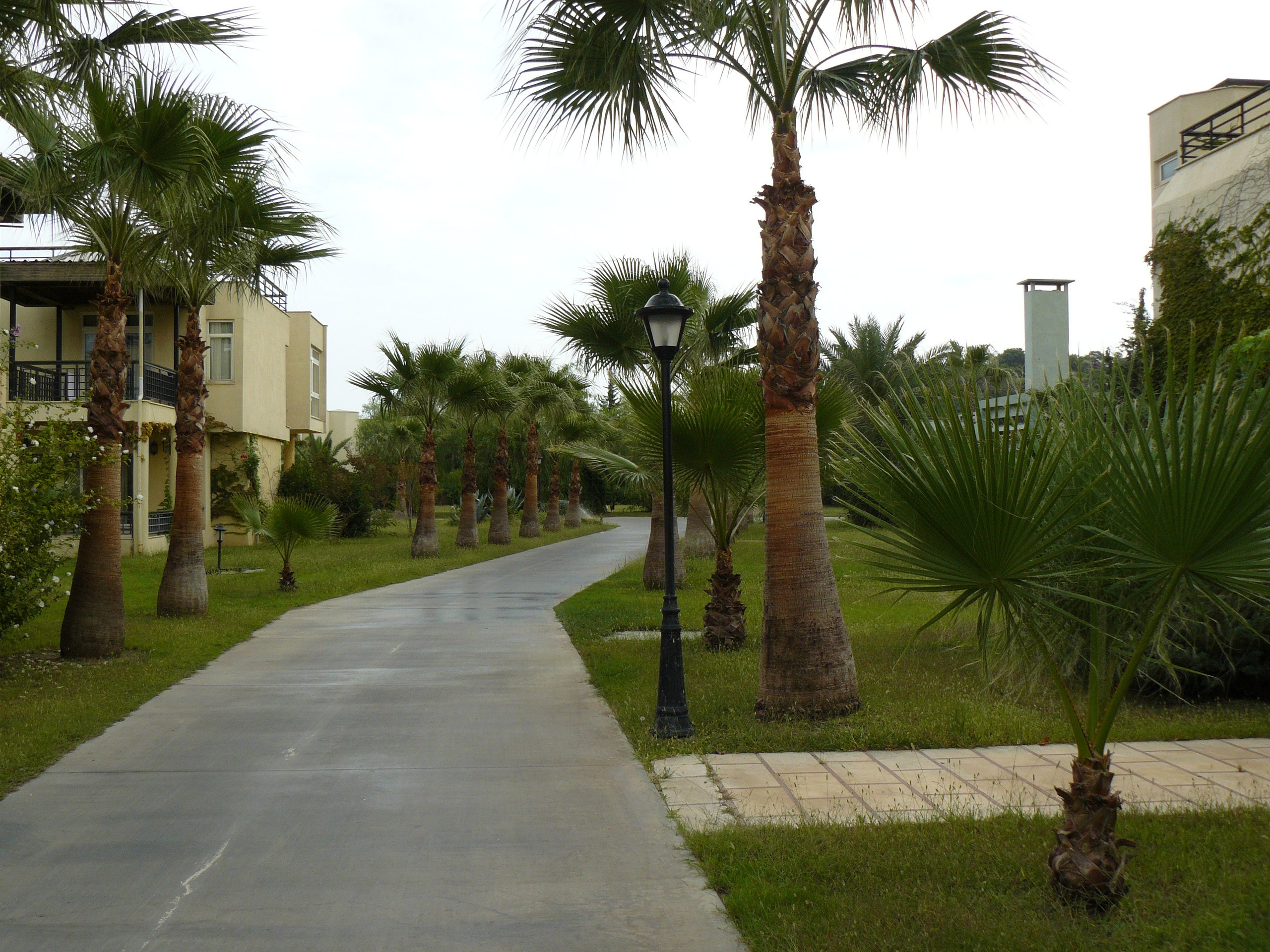 Кемер, Чамьюва 2008. Избранные фотографии