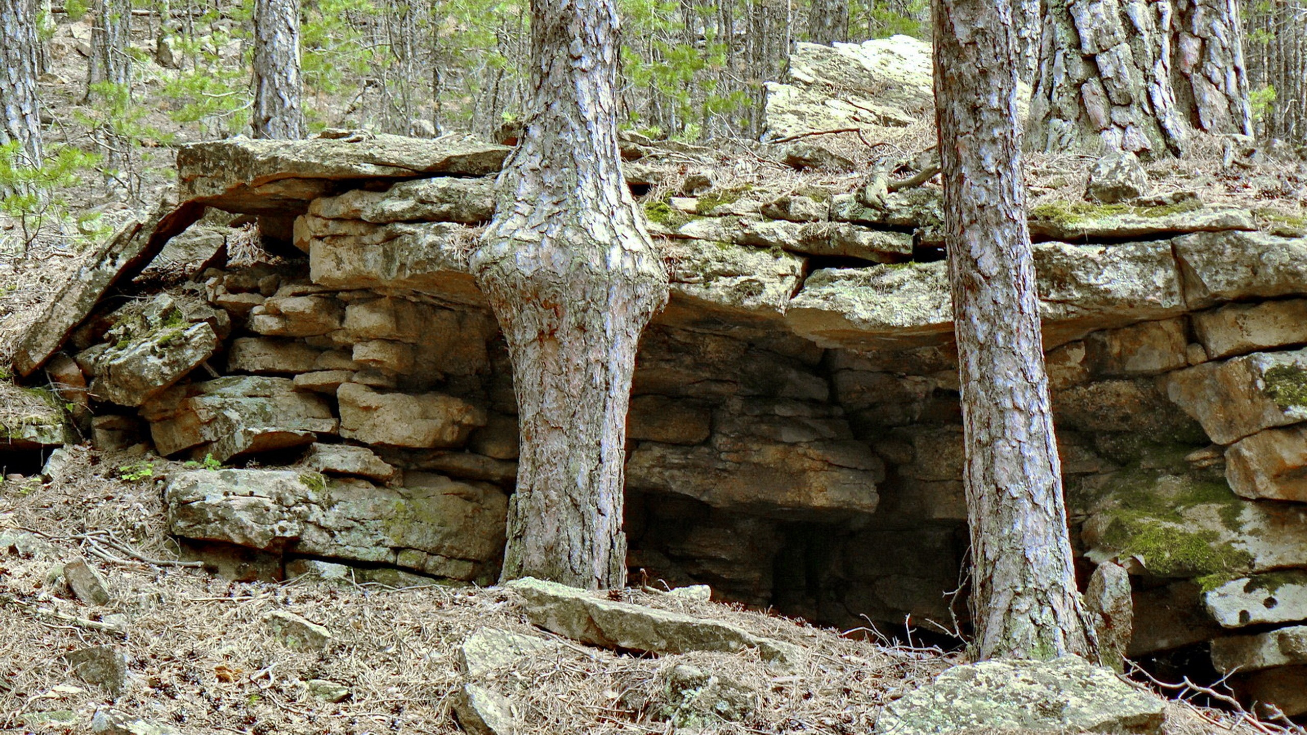 Боровое 2018 (из архива). Избранные фотографии