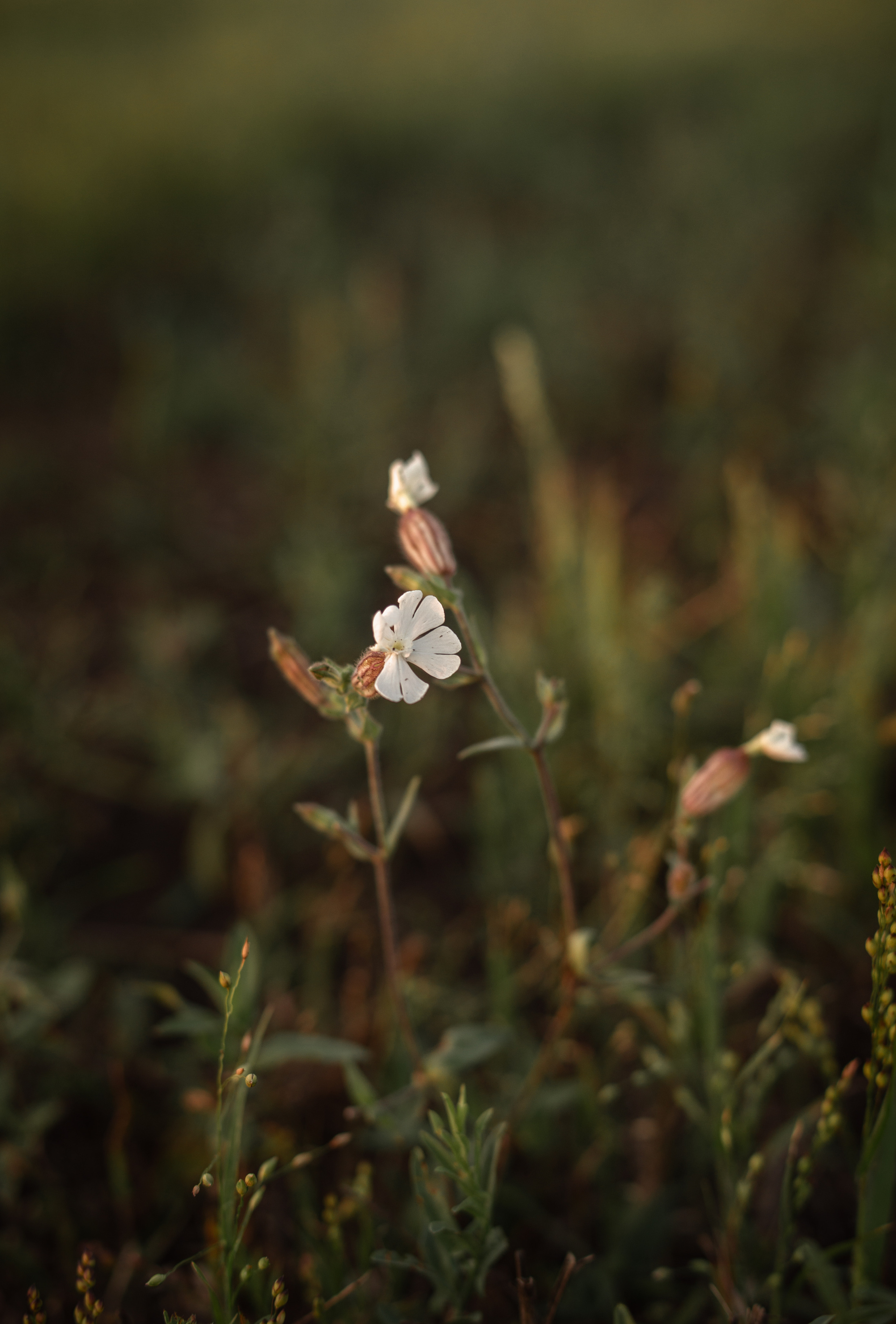 Марина и Дима Мраморный карьер Байкал. Свадебный и семейный фотограф в Краснодаре и Краснодарском крае