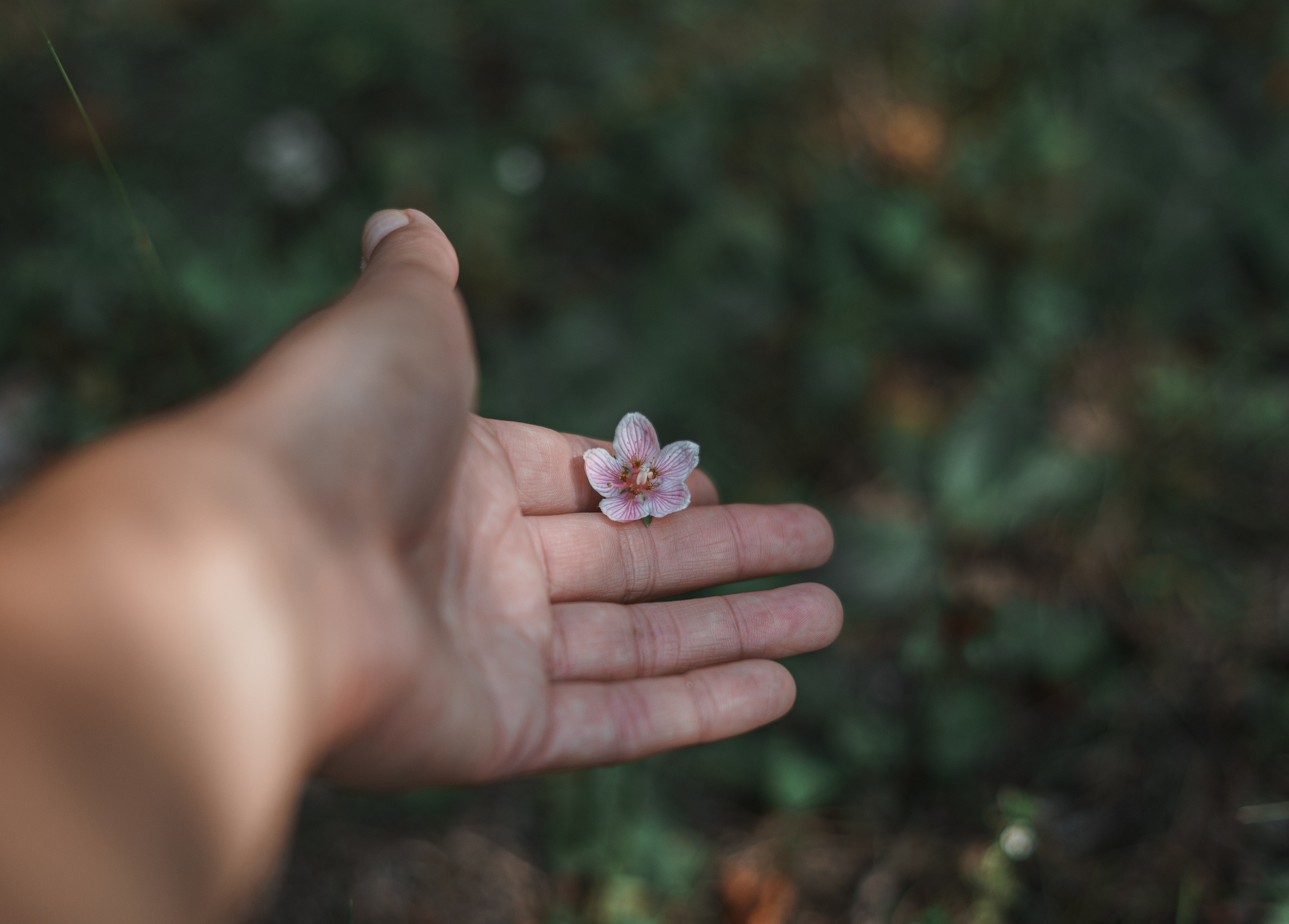 Марина и Дима Мраморный карьер Байкал. Свадебный и семейный фотограф в Краснодаре и Краснодарском крае