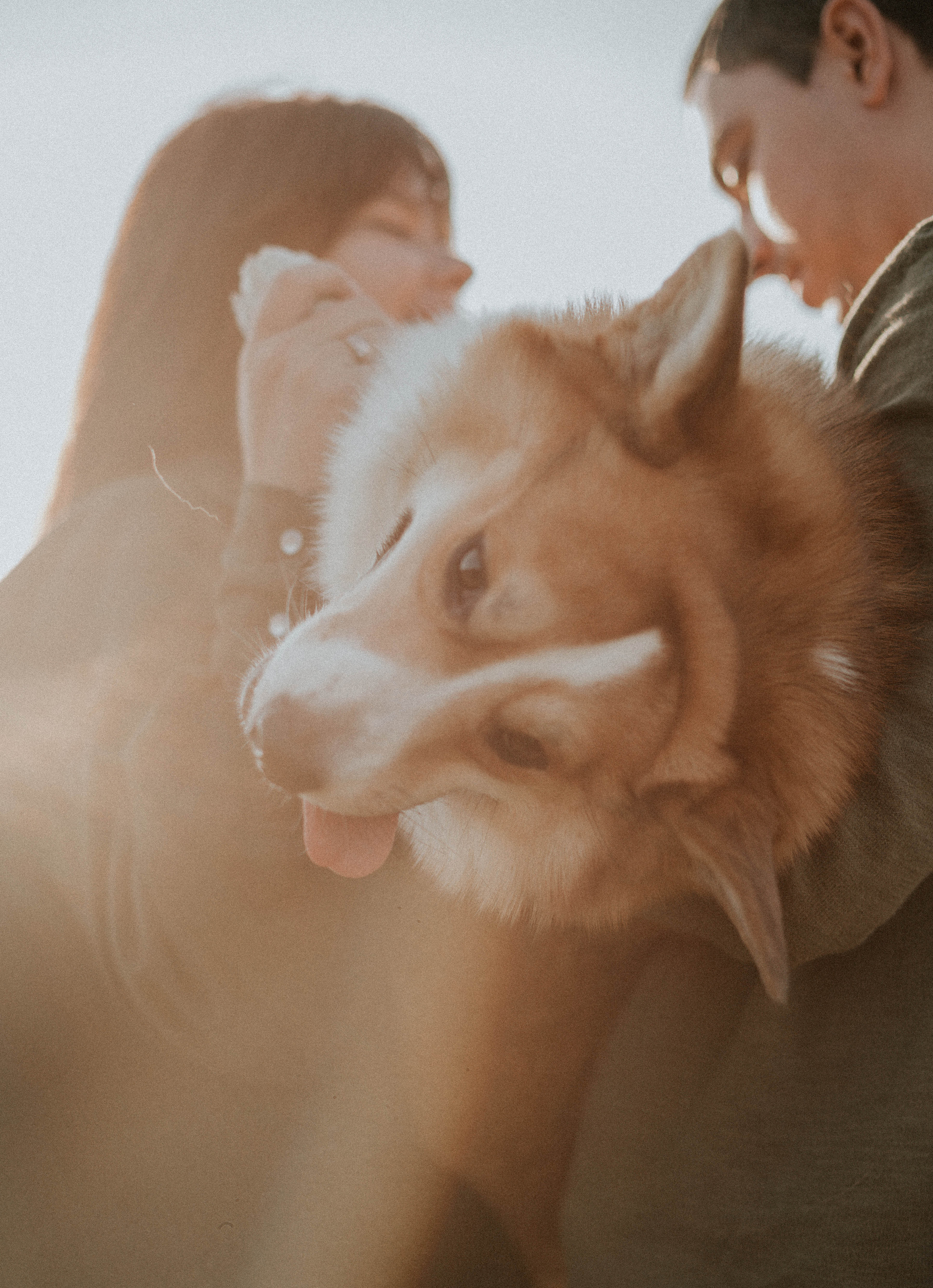 Кристина и Виталий. Свадебный и семейный фотограф в Краснодаре и Краснодарском крае