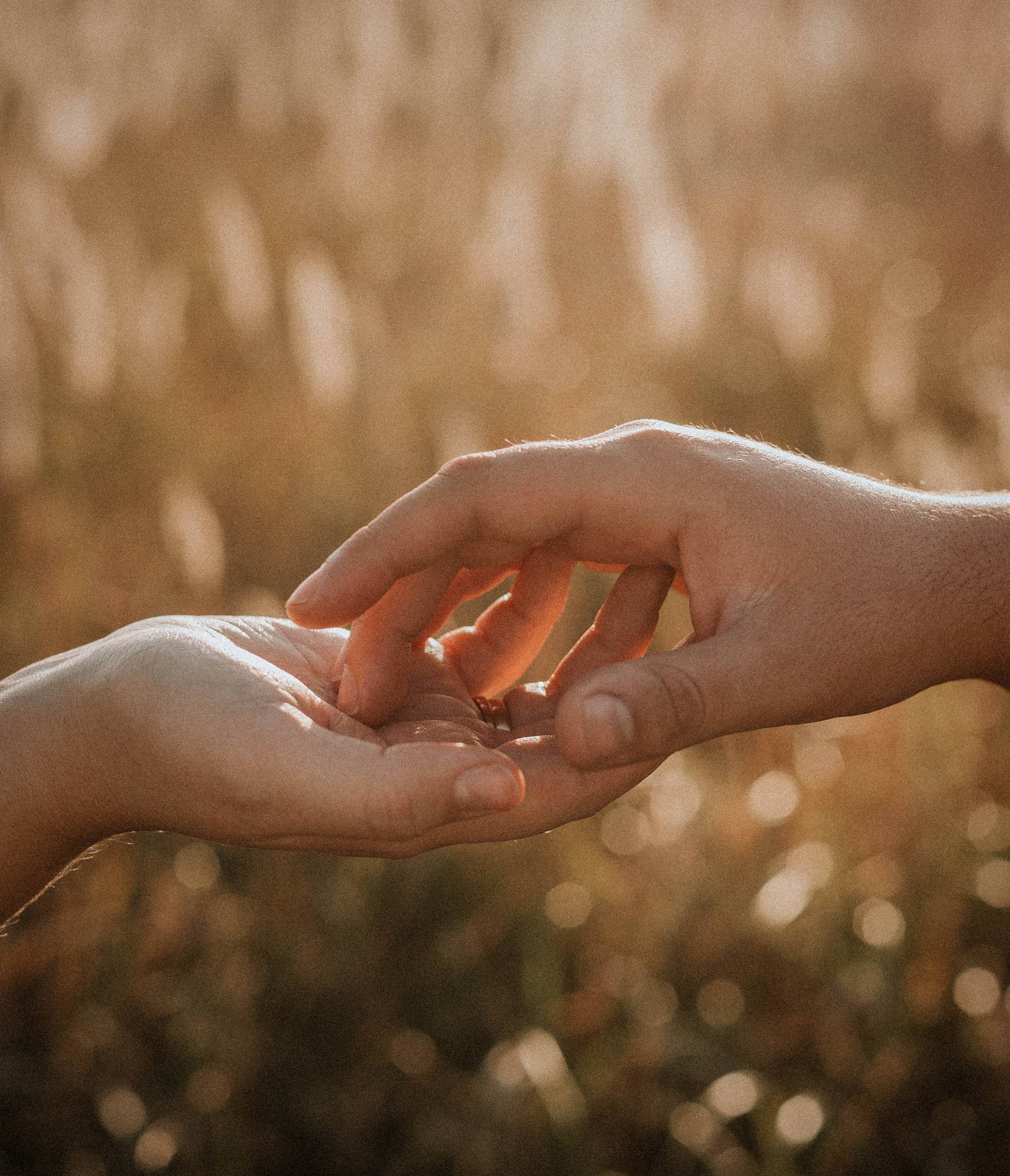 Кристина и Виталий. Свадебный и семейный фотограф в Краснодаре и Краснодарском крае