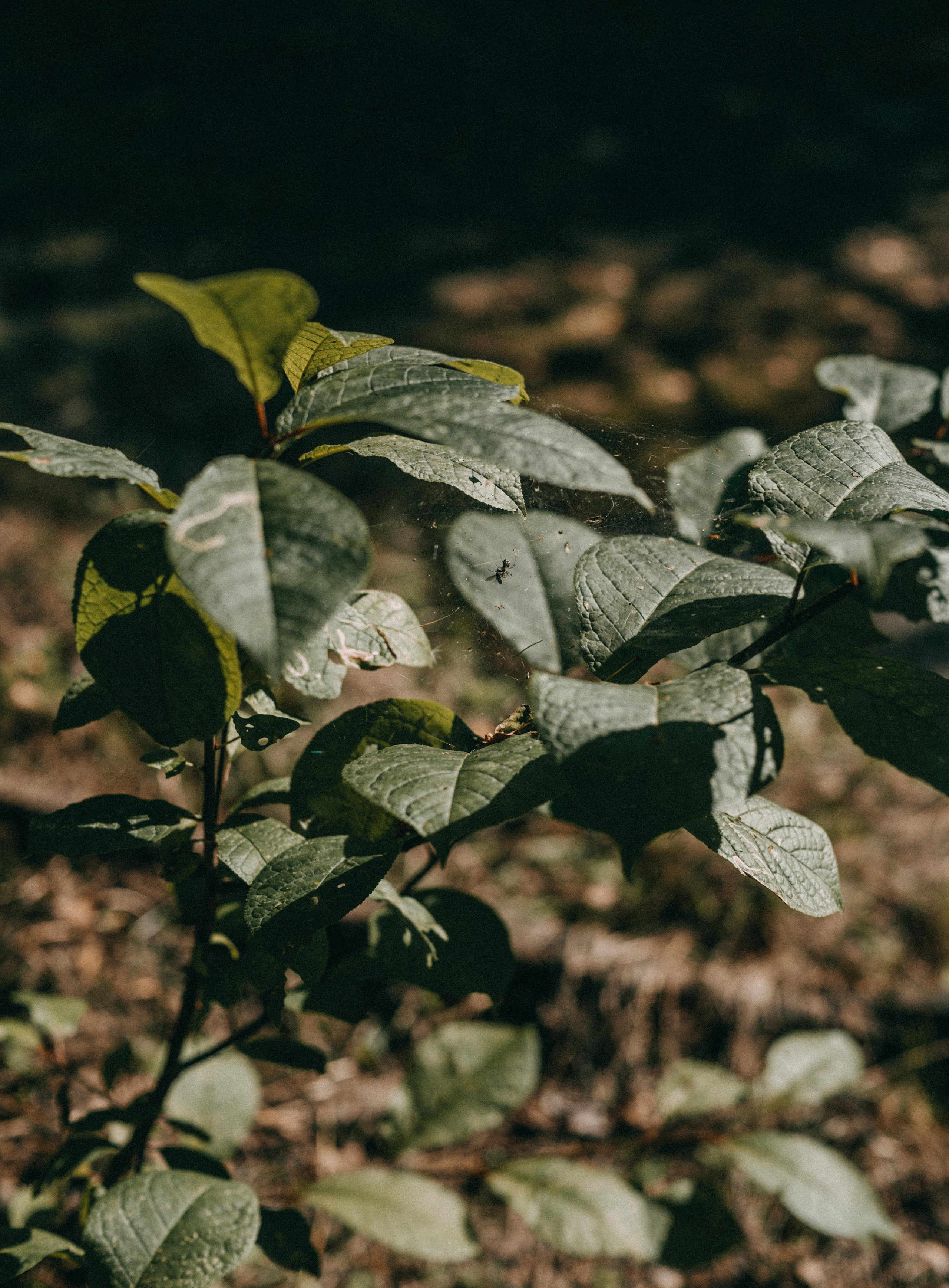 Соня и Костя. Свадебный и семейный фотограф в Краснодаре и Краснодарском крае