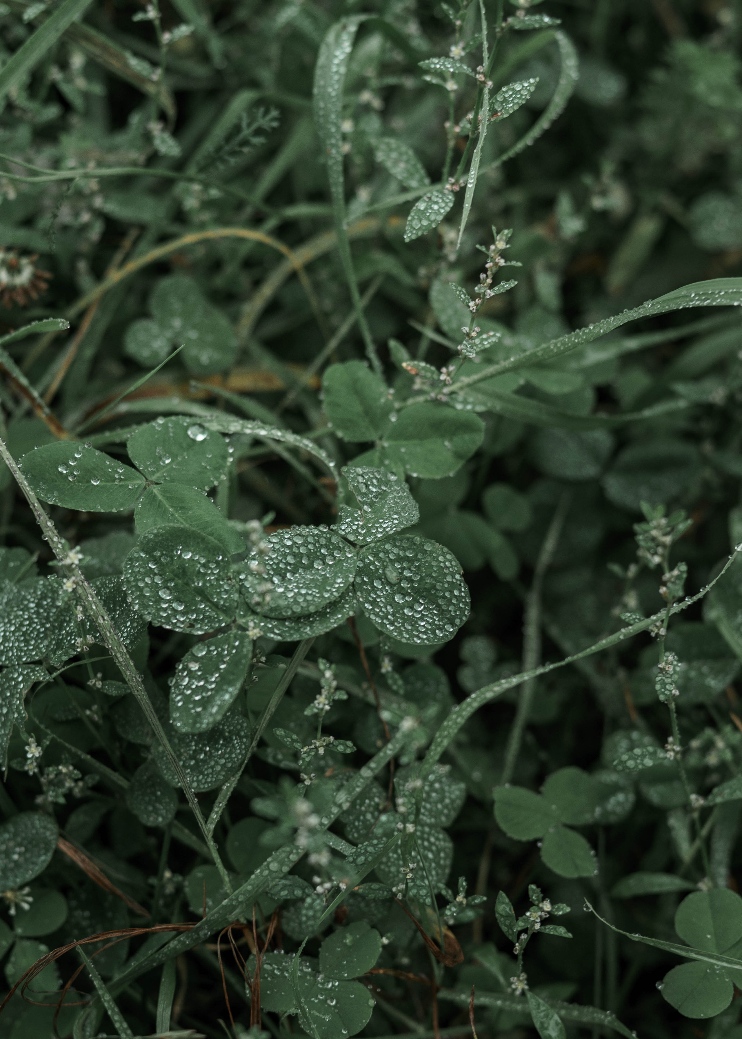 Анастасия и Артем. Свадебный и семейный фотограф в Краснодаре и Краснодарском крае