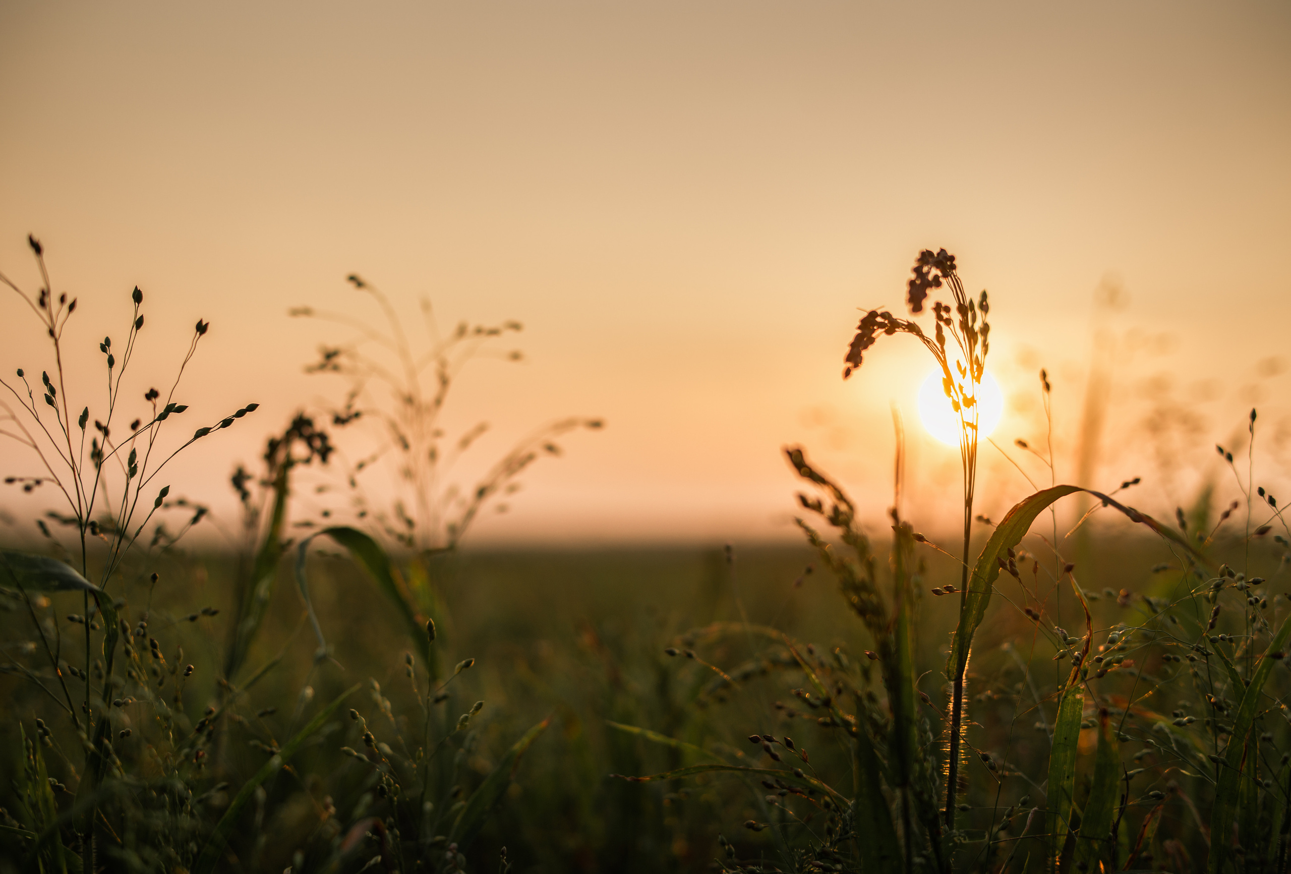 Марина и Дима Мраморный карьер Байкал. Свадебный и семейный фотограф в Краснодаре и Краснодарском крае