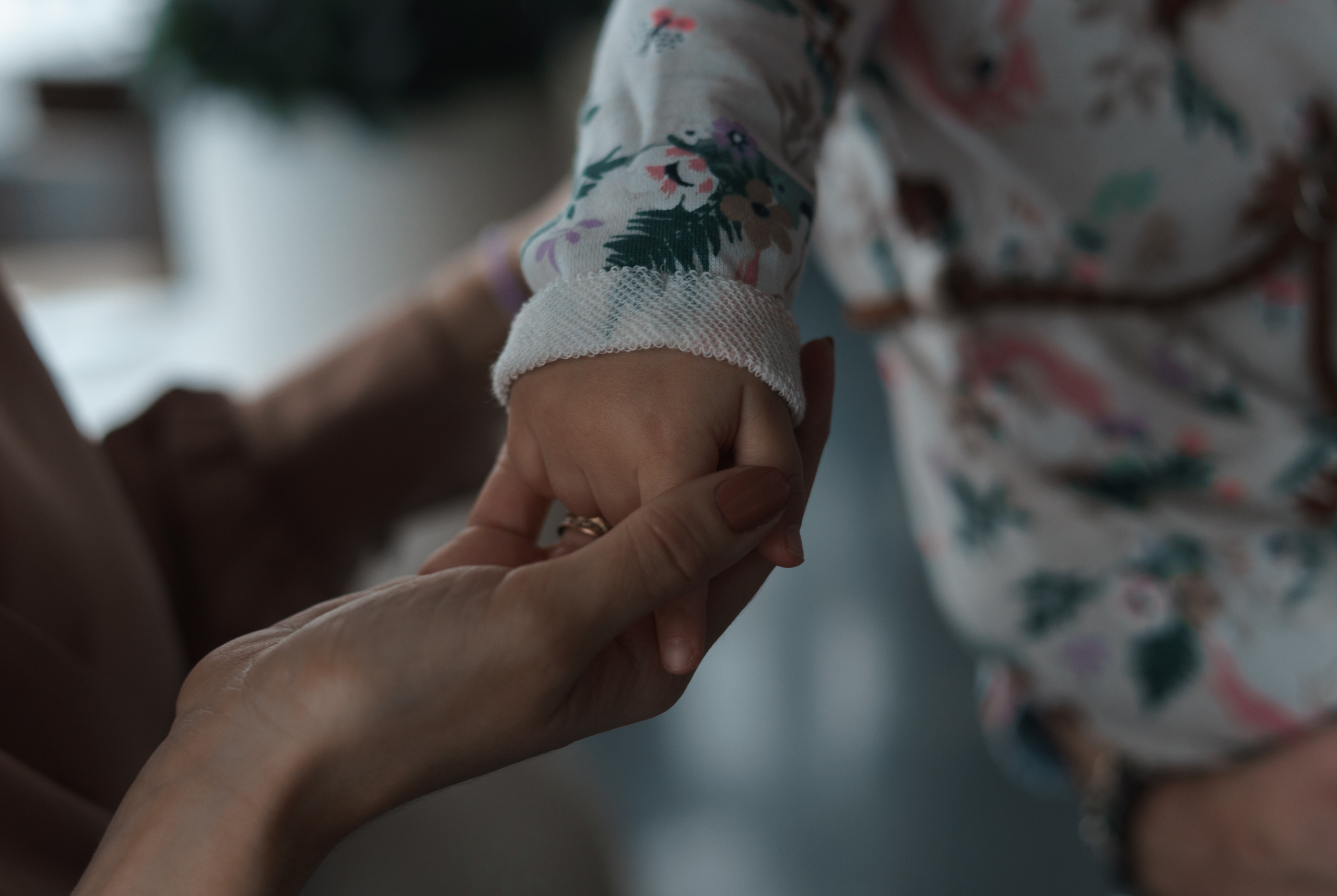 Алина с семьей. Свадебный и семейный фотограф в Краснодаре и Краснодарском крае