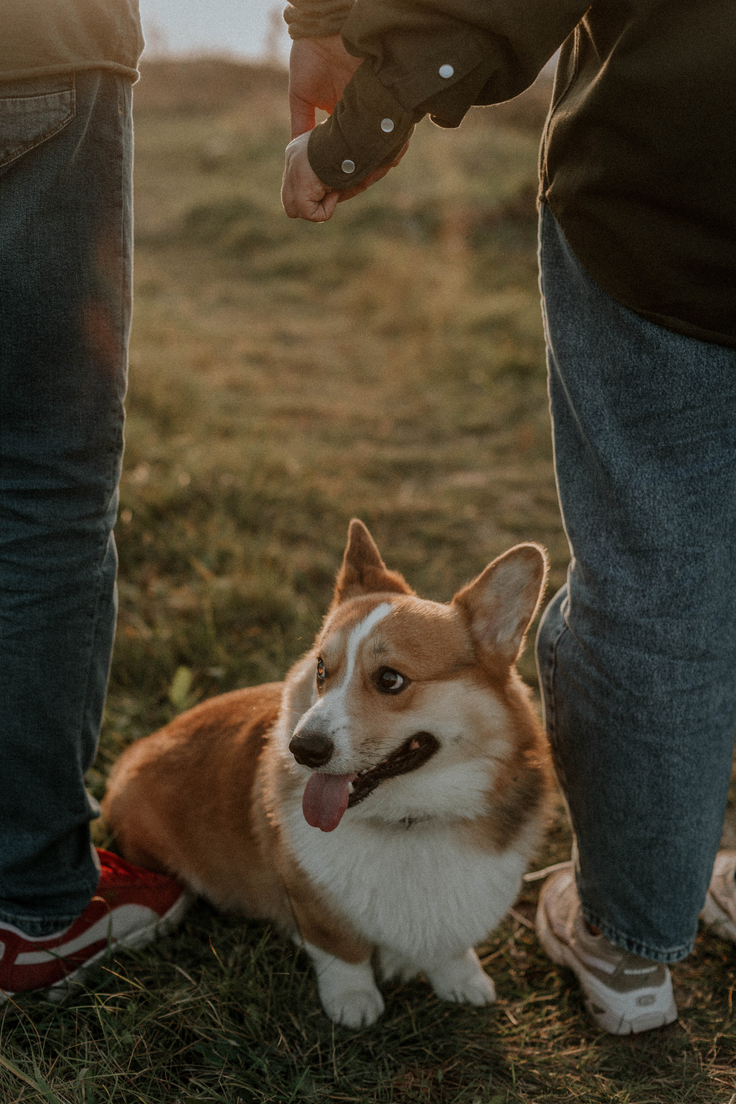 Кристина и Виталий. Свадебный и семейный фотограф в Краснодаре и Краснодарском крае