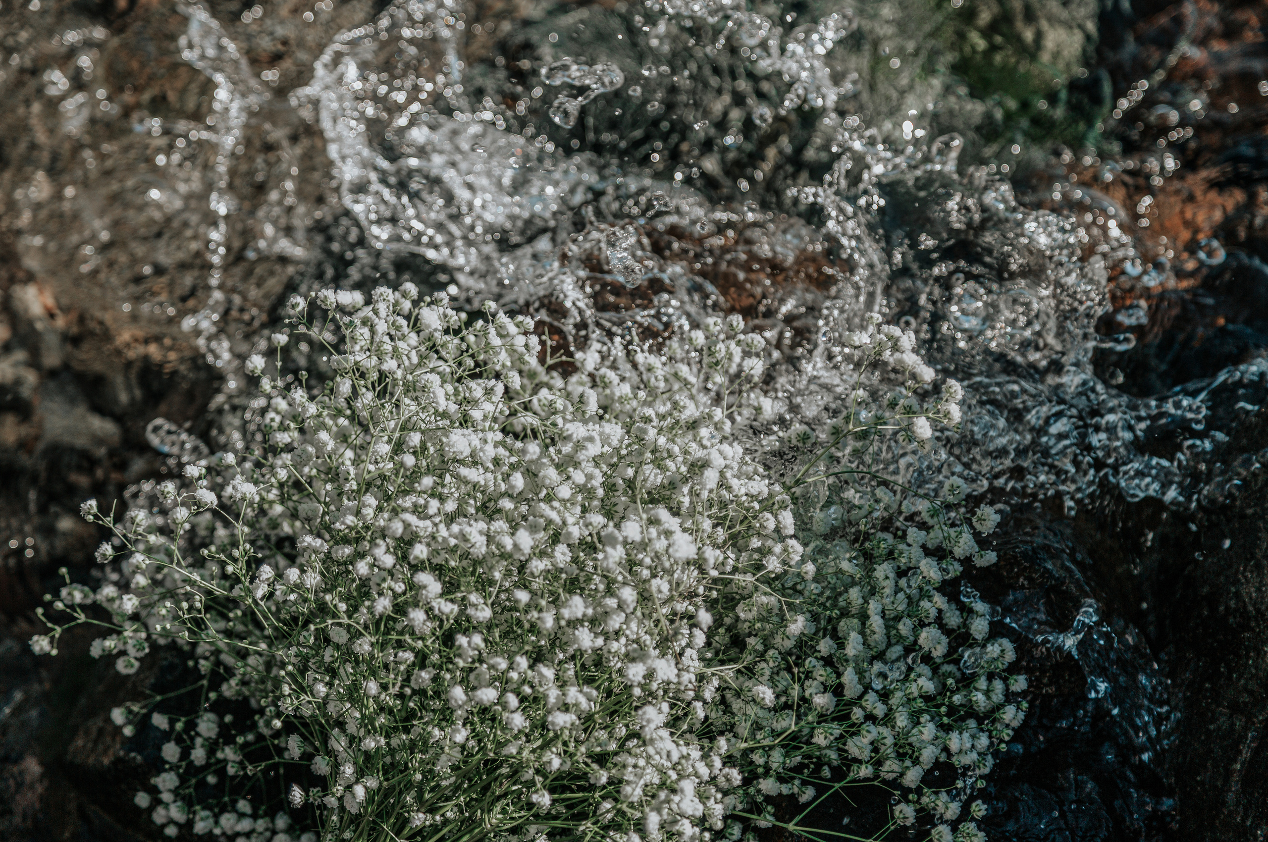 Елена и Сергей. Свадебный и семейный фотограф в Краснодаре и Краснодарском крае