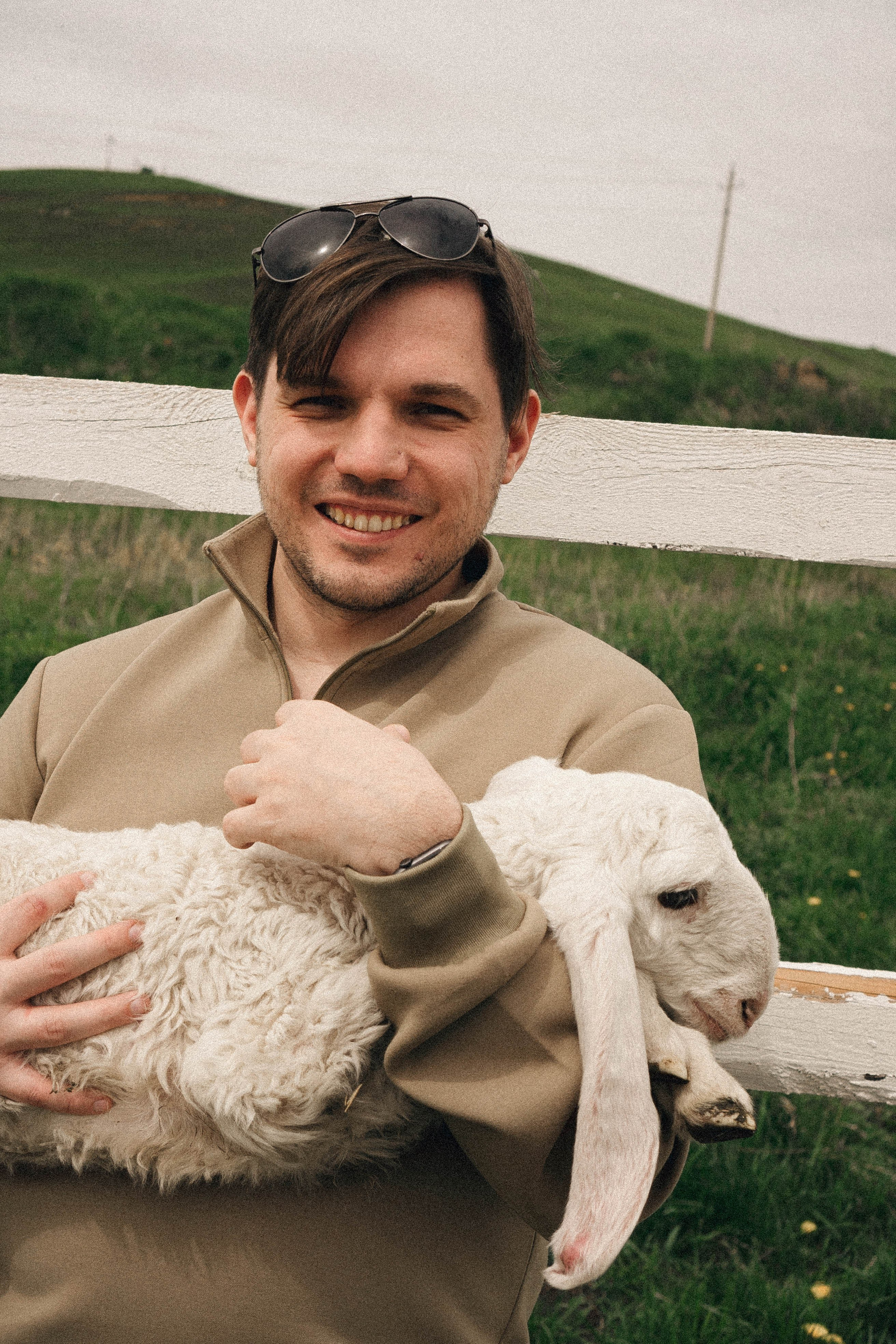 Ферма Альпак. Профессиональный фотограф, Санкт-Петербург — Виктория Богомолова