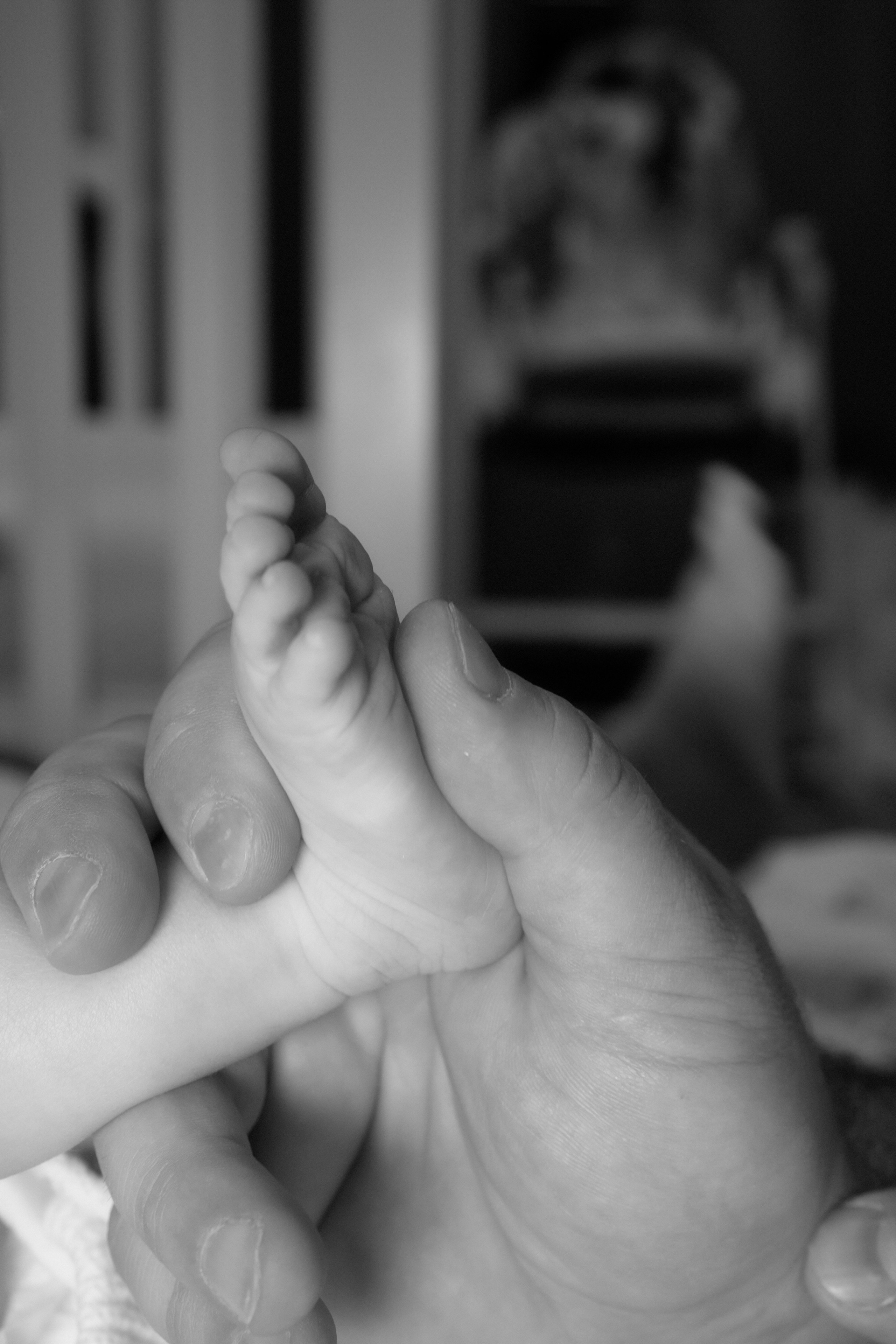 Семейная фотосессия | новорожденная малышка. Твой личный фотограф Сочи | Йошкар-Ола