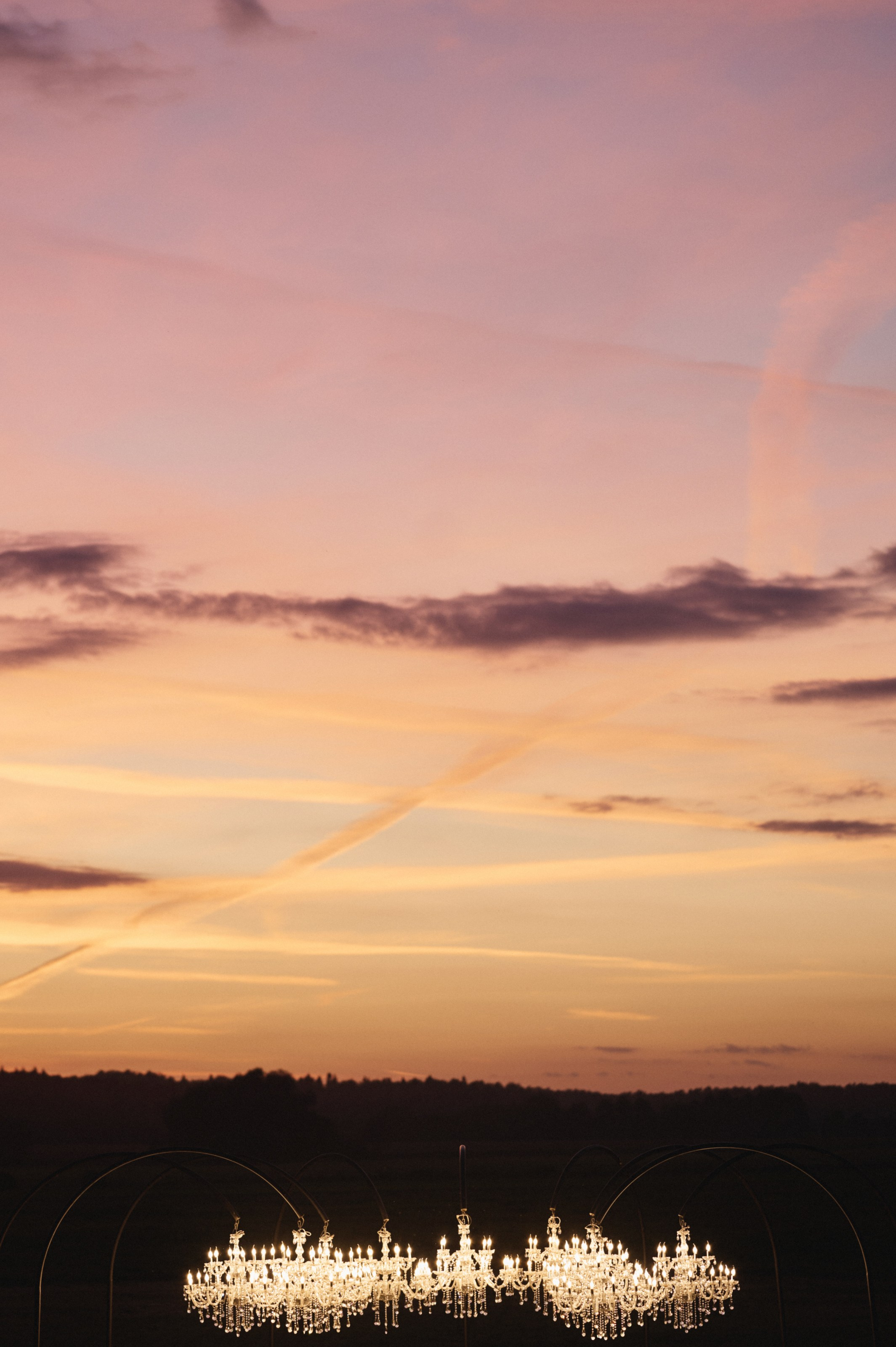 Mary Gu & Toli Wildways. VENSKAYA WEDDING & EVENT PLANNER