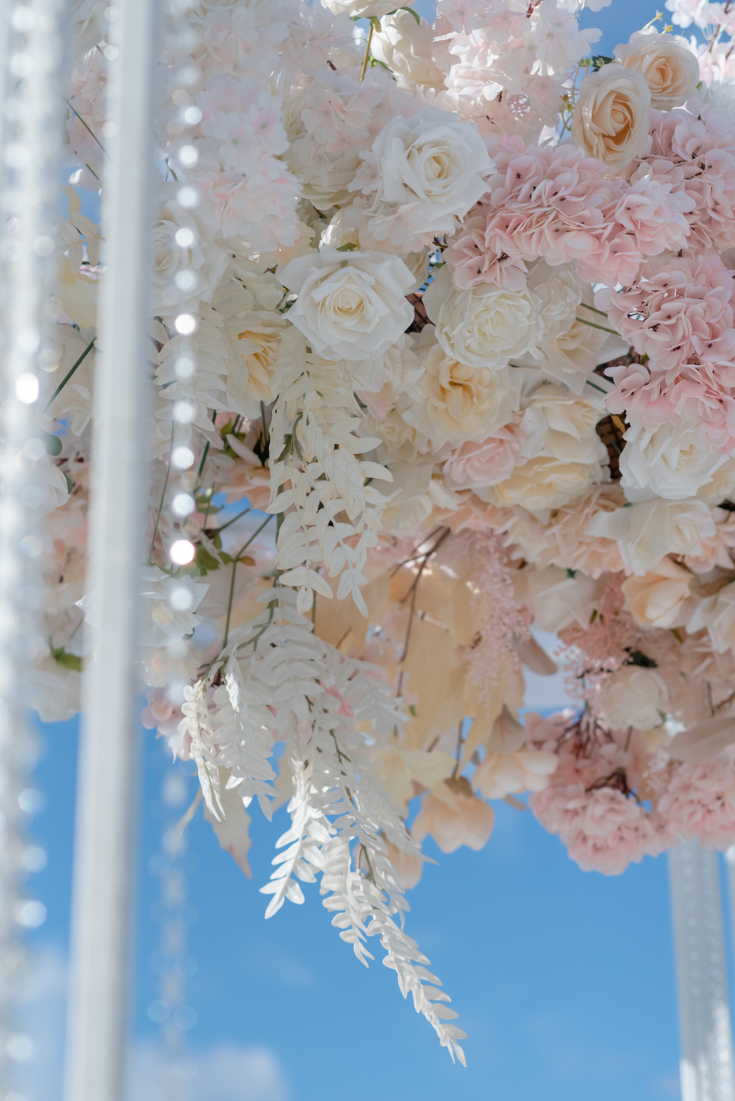 Александр и Юлия. Фотограф Елена Кучук