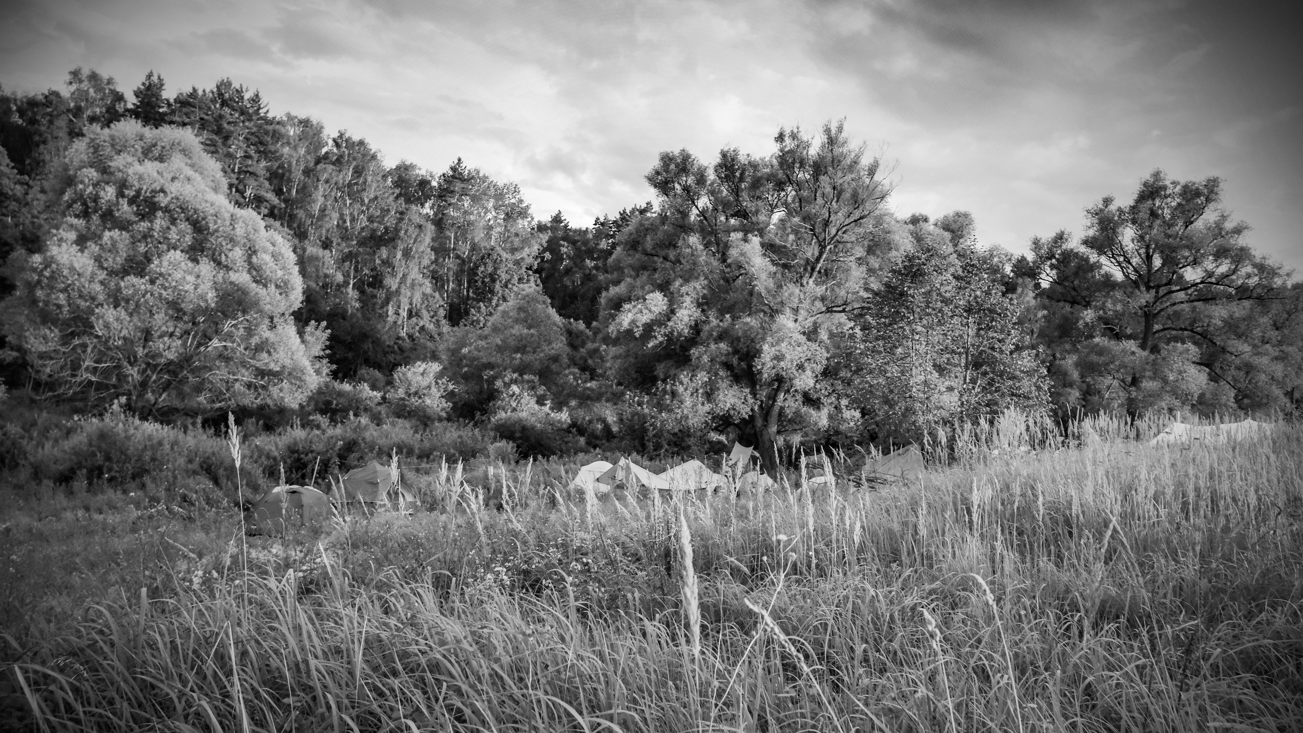 Insomnia2024. Фотограф и видеограф Апокина Мария Москва