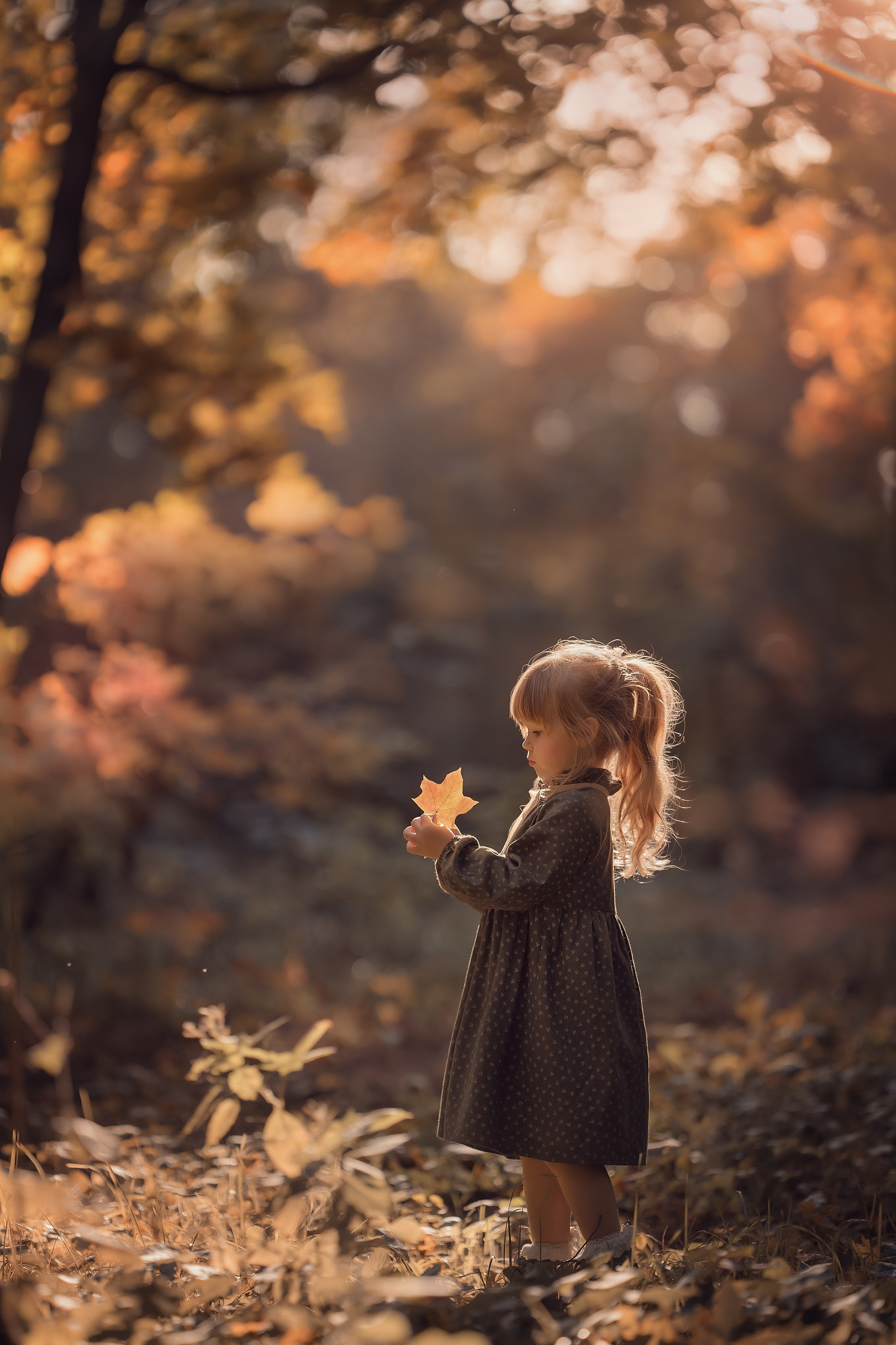 Портфолио. Семейный и детский фотограф в Москве Елизавета Царькова