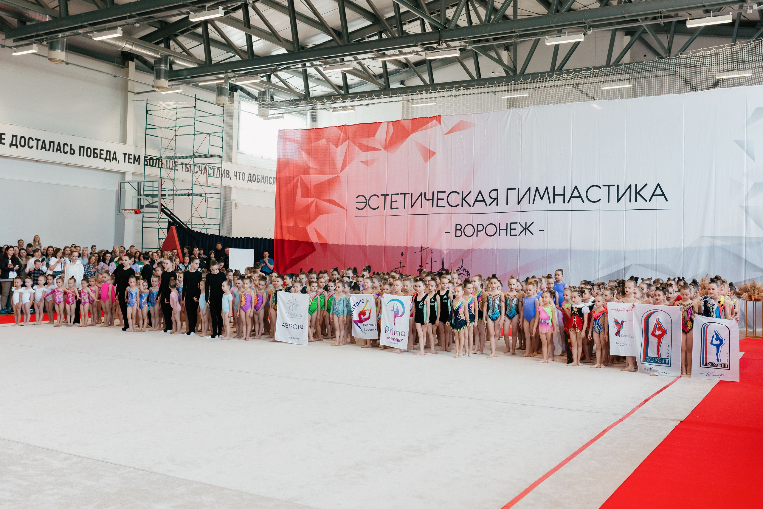 Турнир по эстетической гимнастике «АВАНГАРД» г. Воронеж 20.04.2024. Спортивный фотограф Александр Васильев. RG и AGG