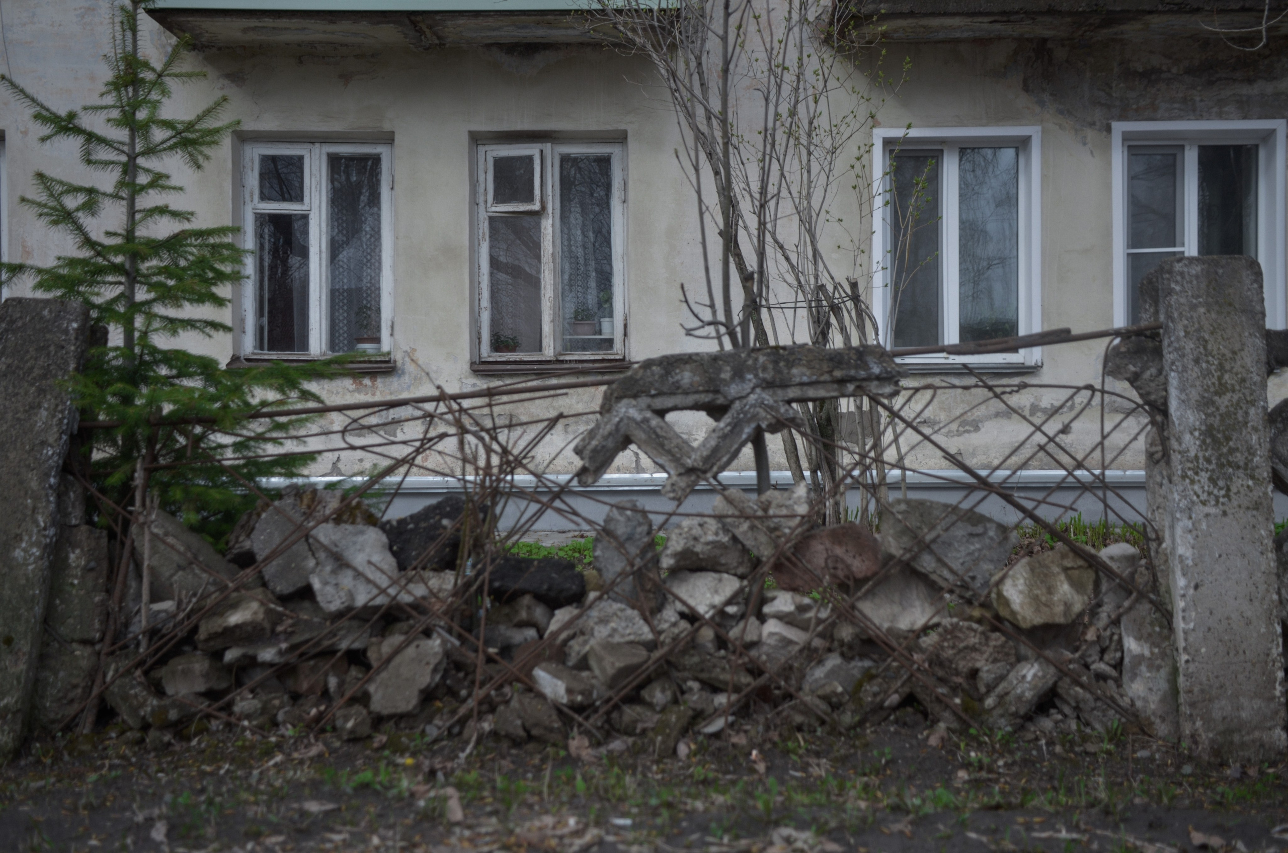 «П.ДД.Н». Fedor Kalinin