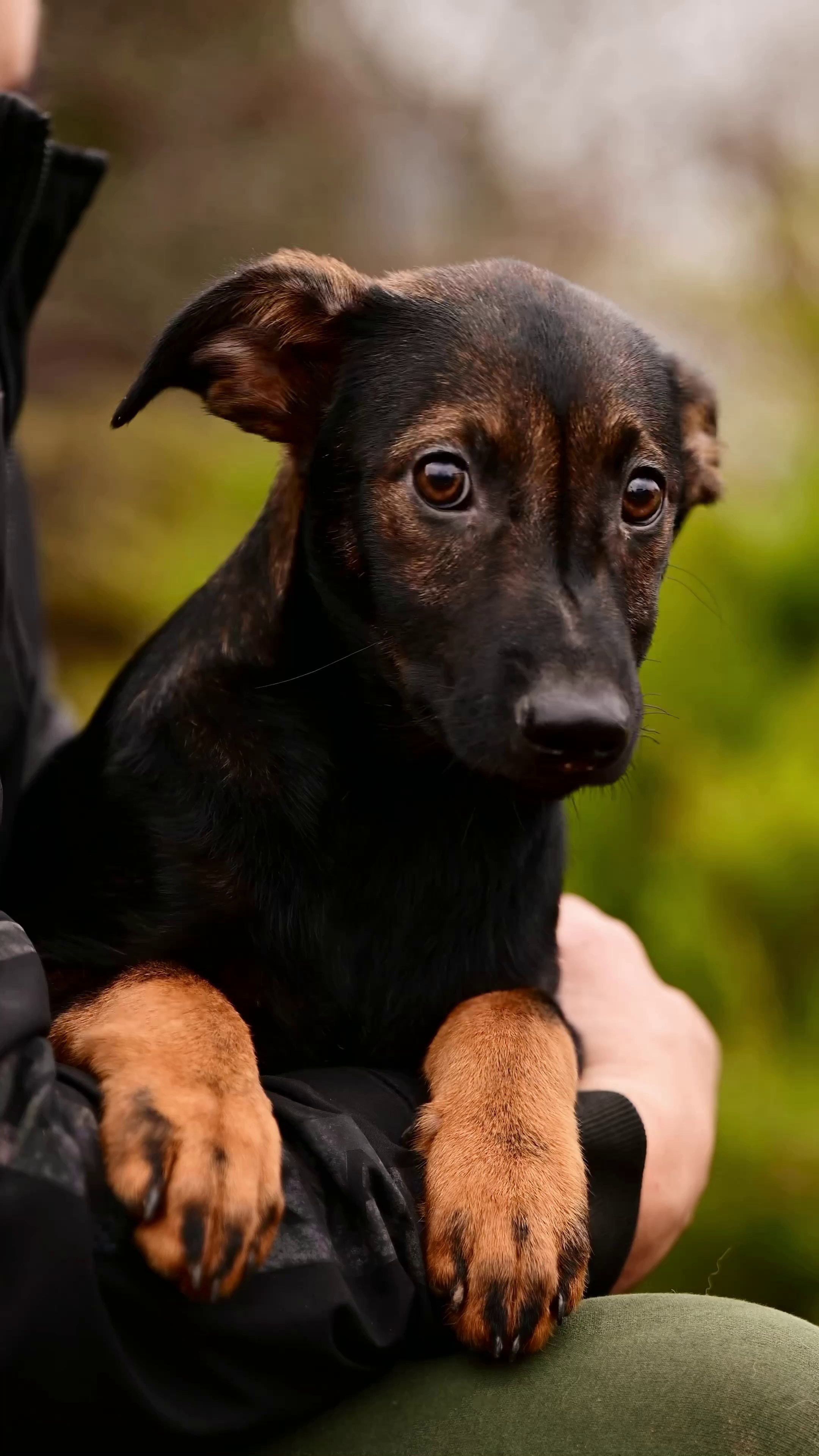 Съёмка для волонтёров (видео). Мила Астахова