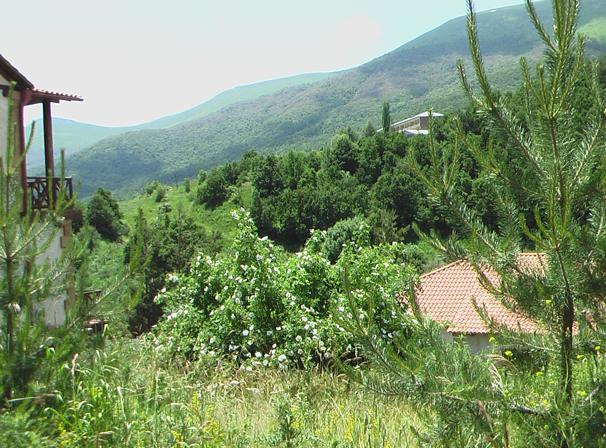 Армения. Главная