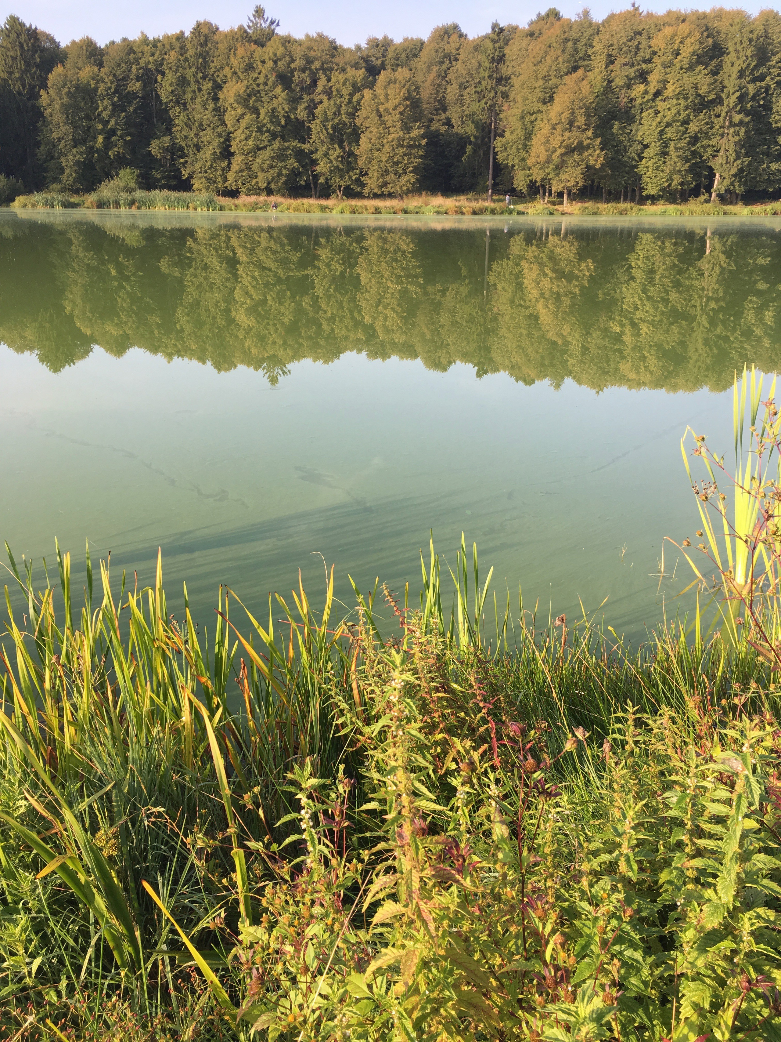 Молоди-19. Своя Мастерская