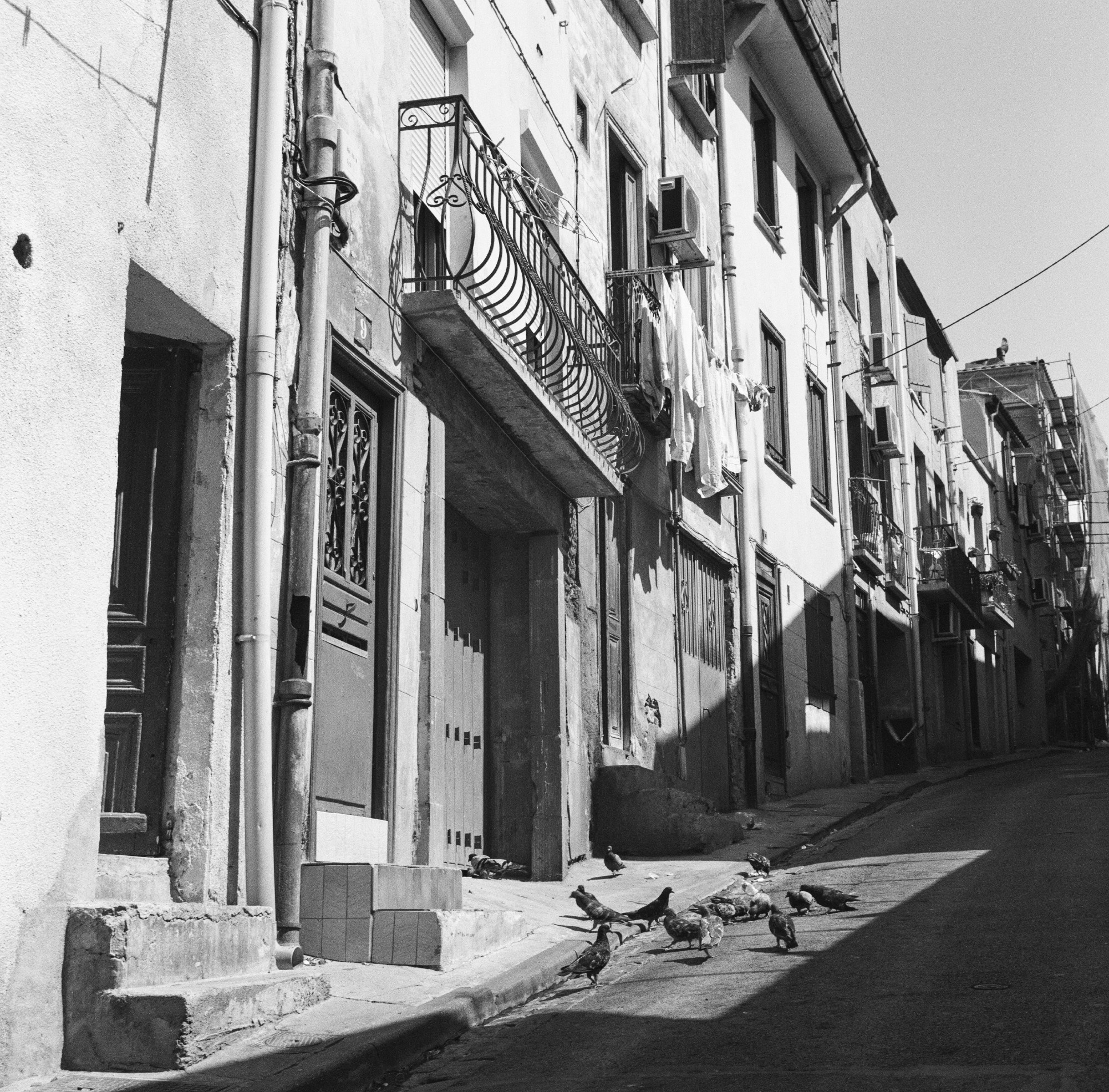 LANDSCAPE. Portrait and business photographer in Moscow Andrey Nikolsky