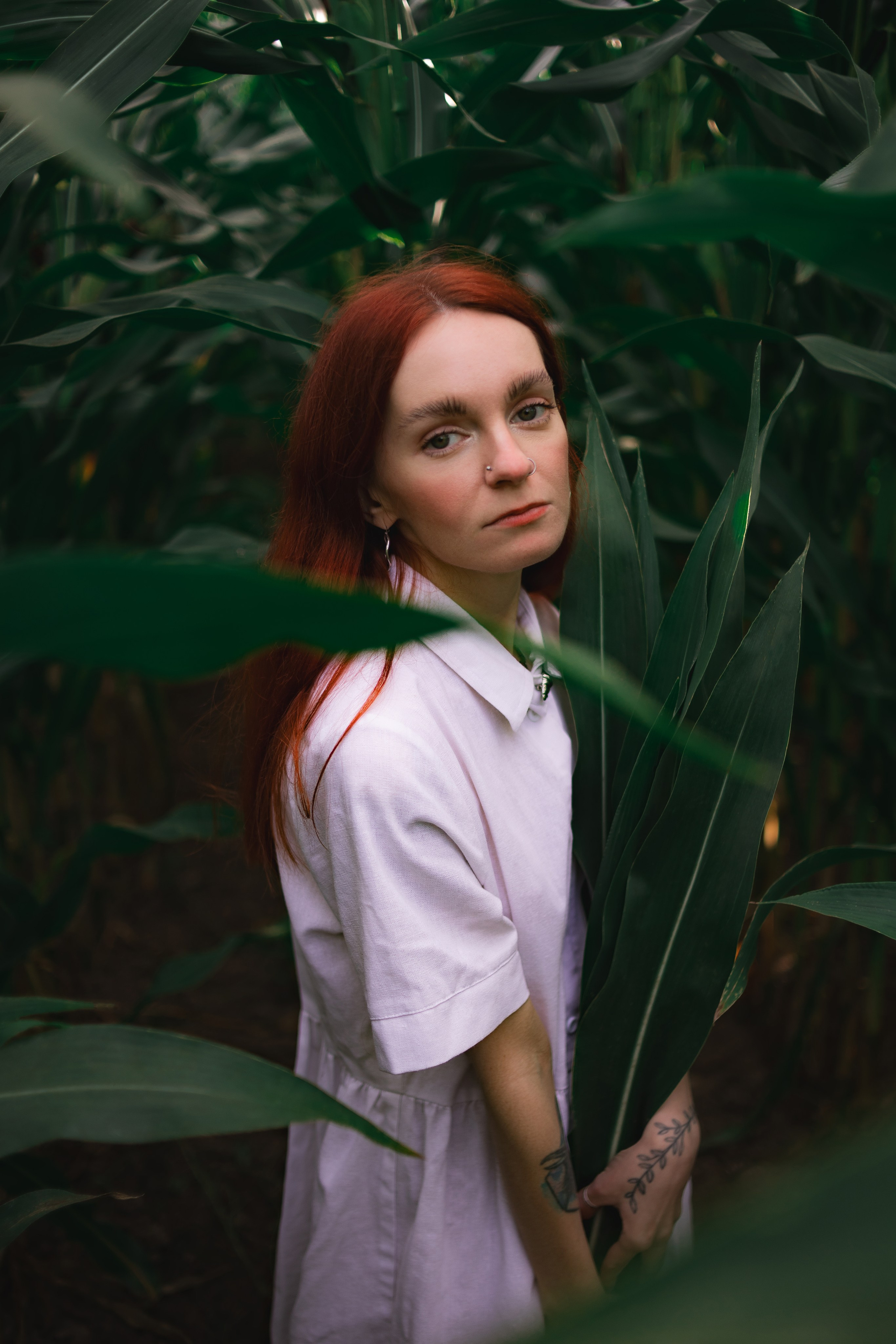 Девушка на кукурузном поле. Фотограф в Санкт-Петербурге и Москве Наталья Милли