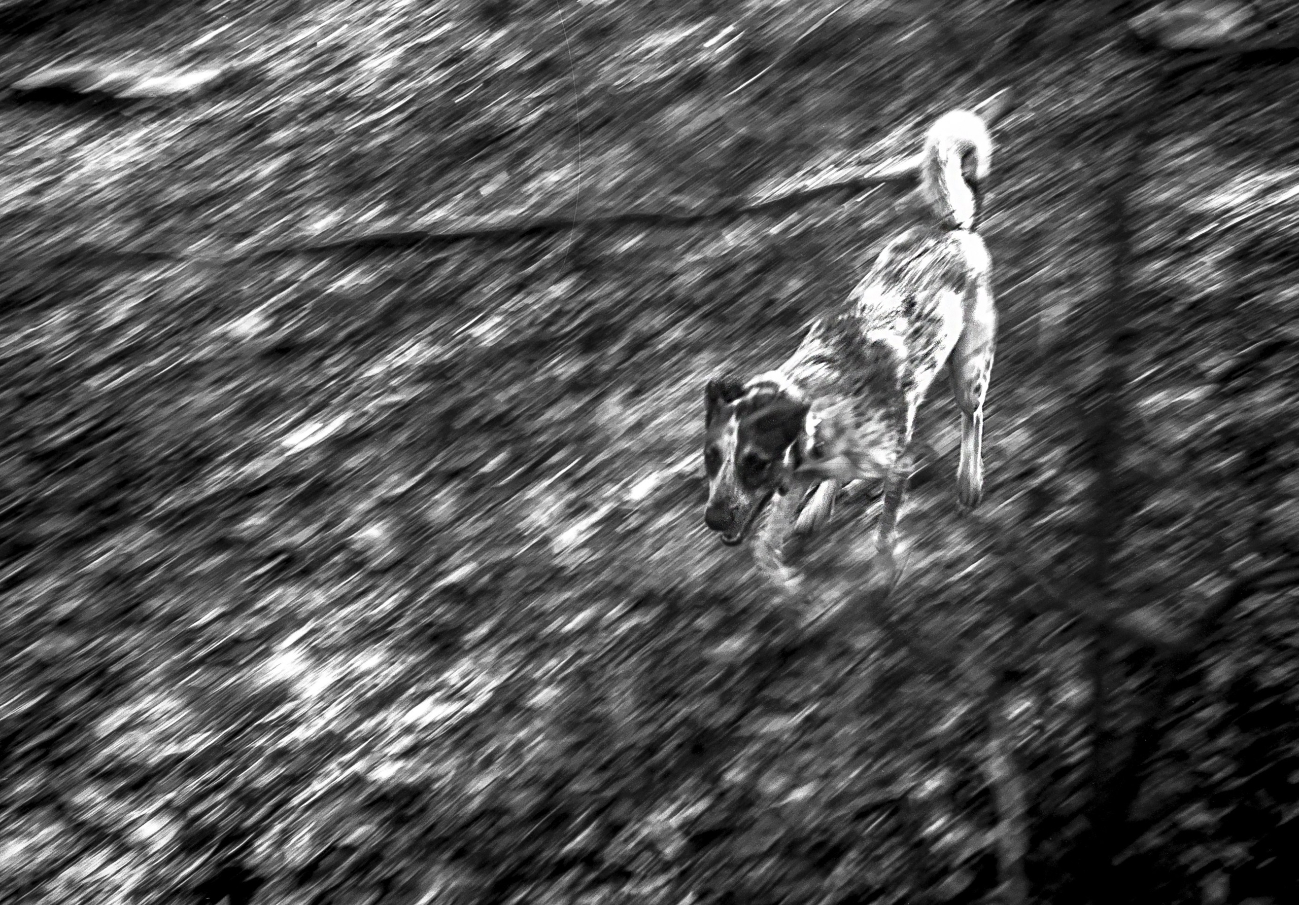 Street. Евгений Бреча. Коммерческий и бэкстейдж фотограф в Москве