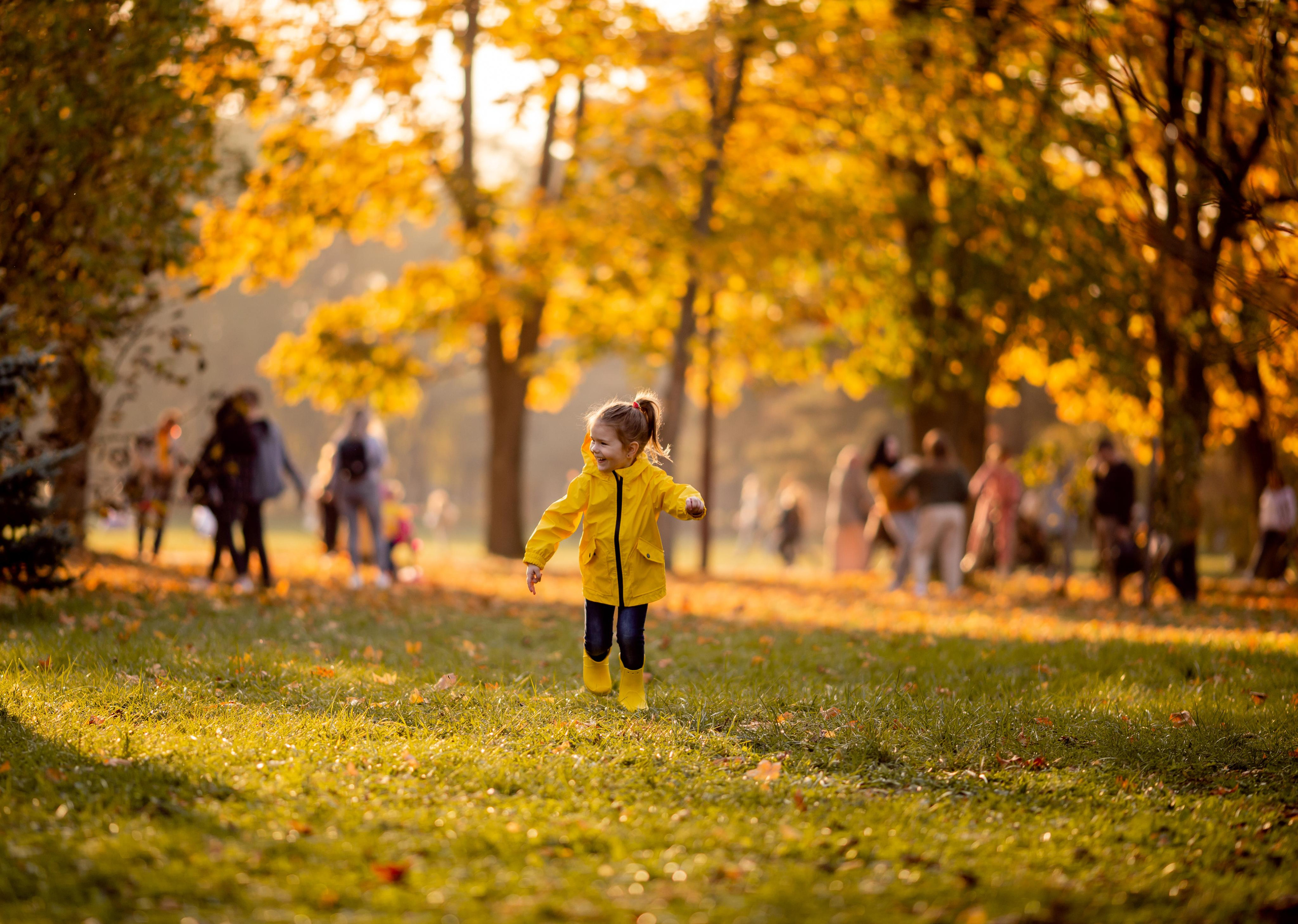 ФОТОДЕНЬ КАТЯ. Свадебный и семейный фотограф в г. Краснодаре Олеся Токарь
