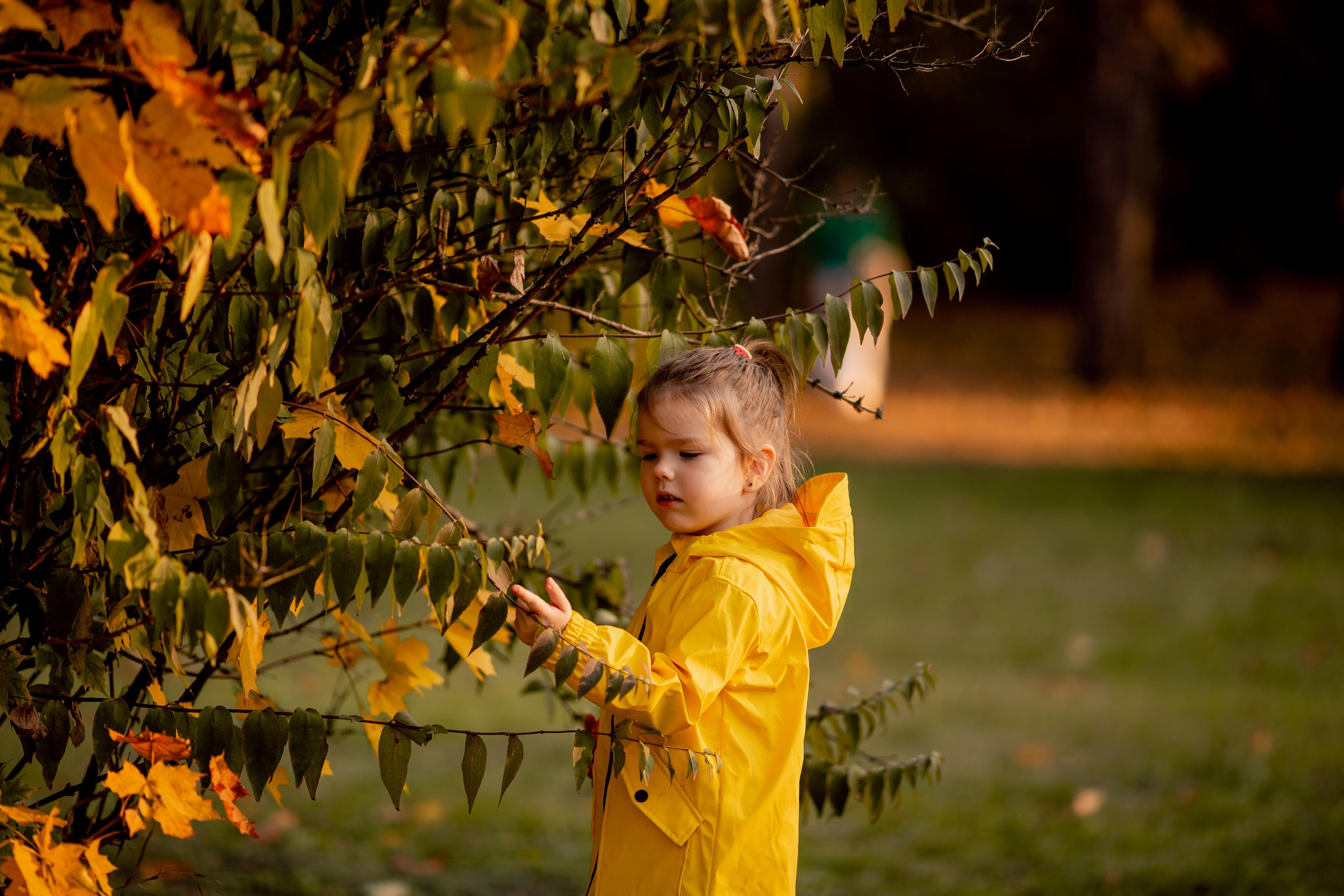 ФОТОДЕНЬ КАТЯ. Свадебный и семейный фотограф в г. Краснодаре Олеся Токарь