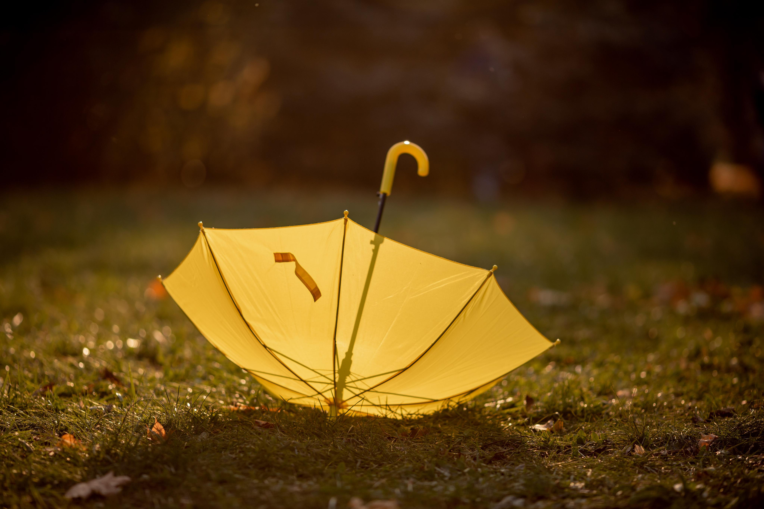 ФОТОДЕНЬ КАТЯ. Свадебный и семейный фотограф в г. Краснодаре Олеся Токарь