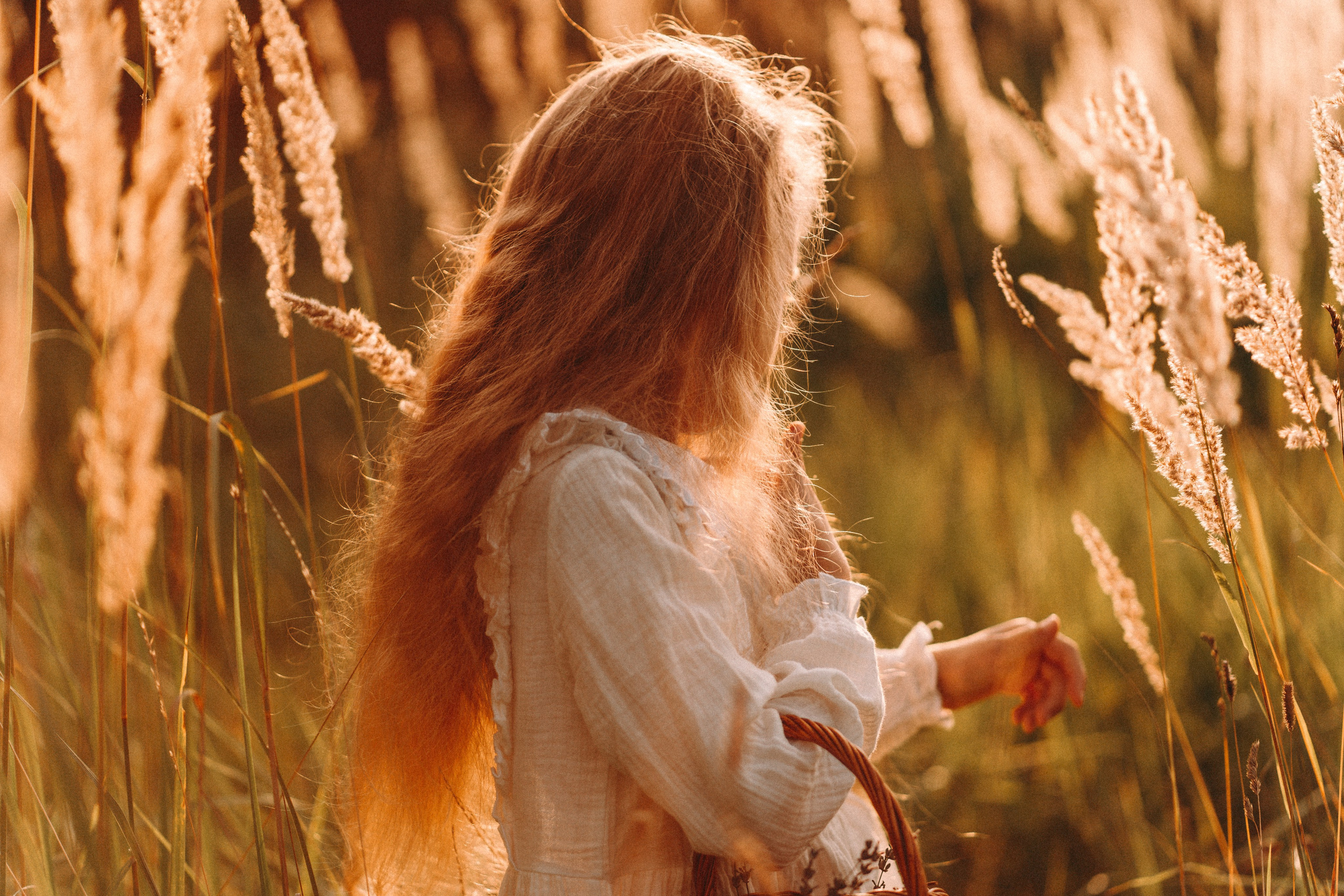 Летнее золото в волосах. Главная