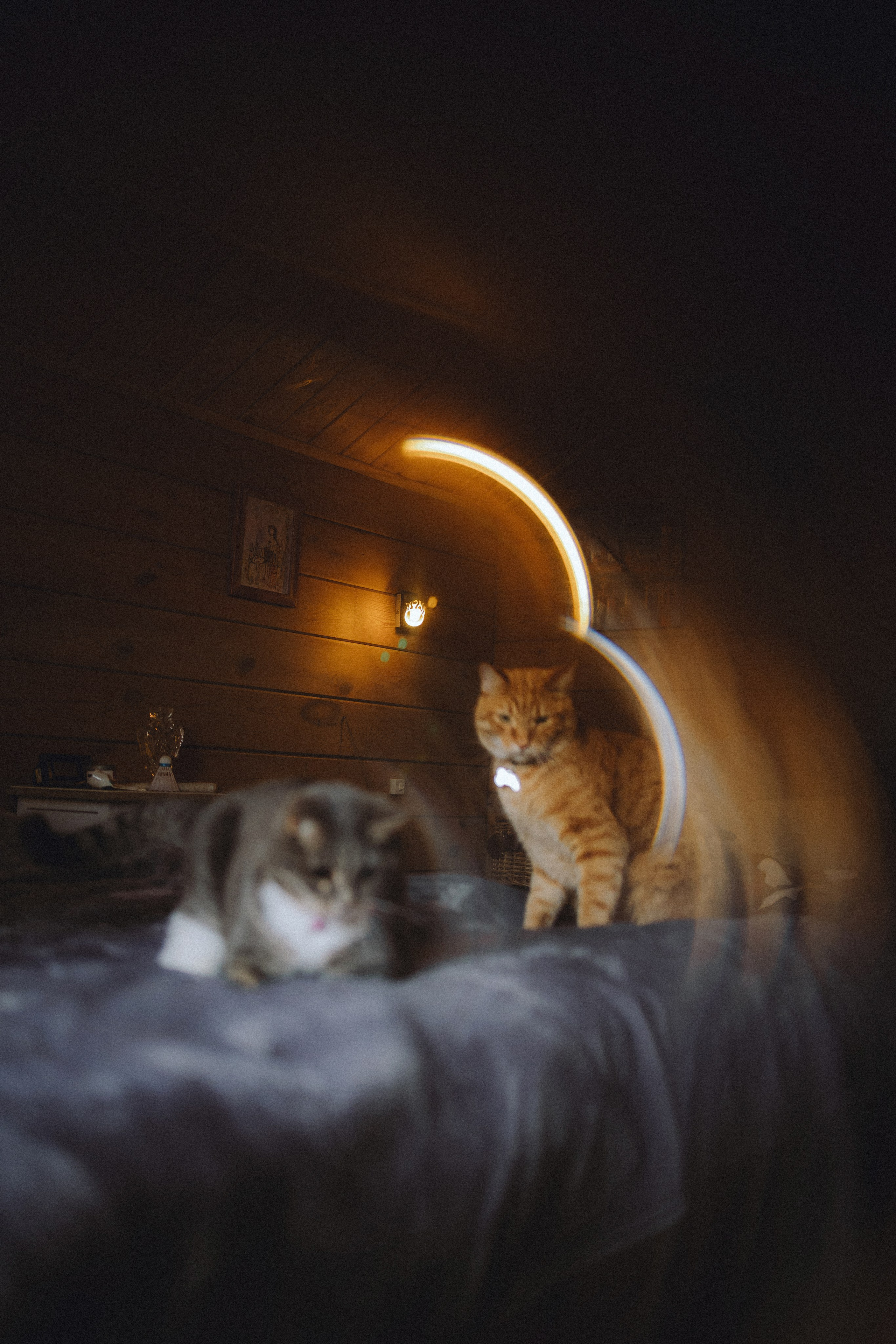 Леброн, Муся и их семья