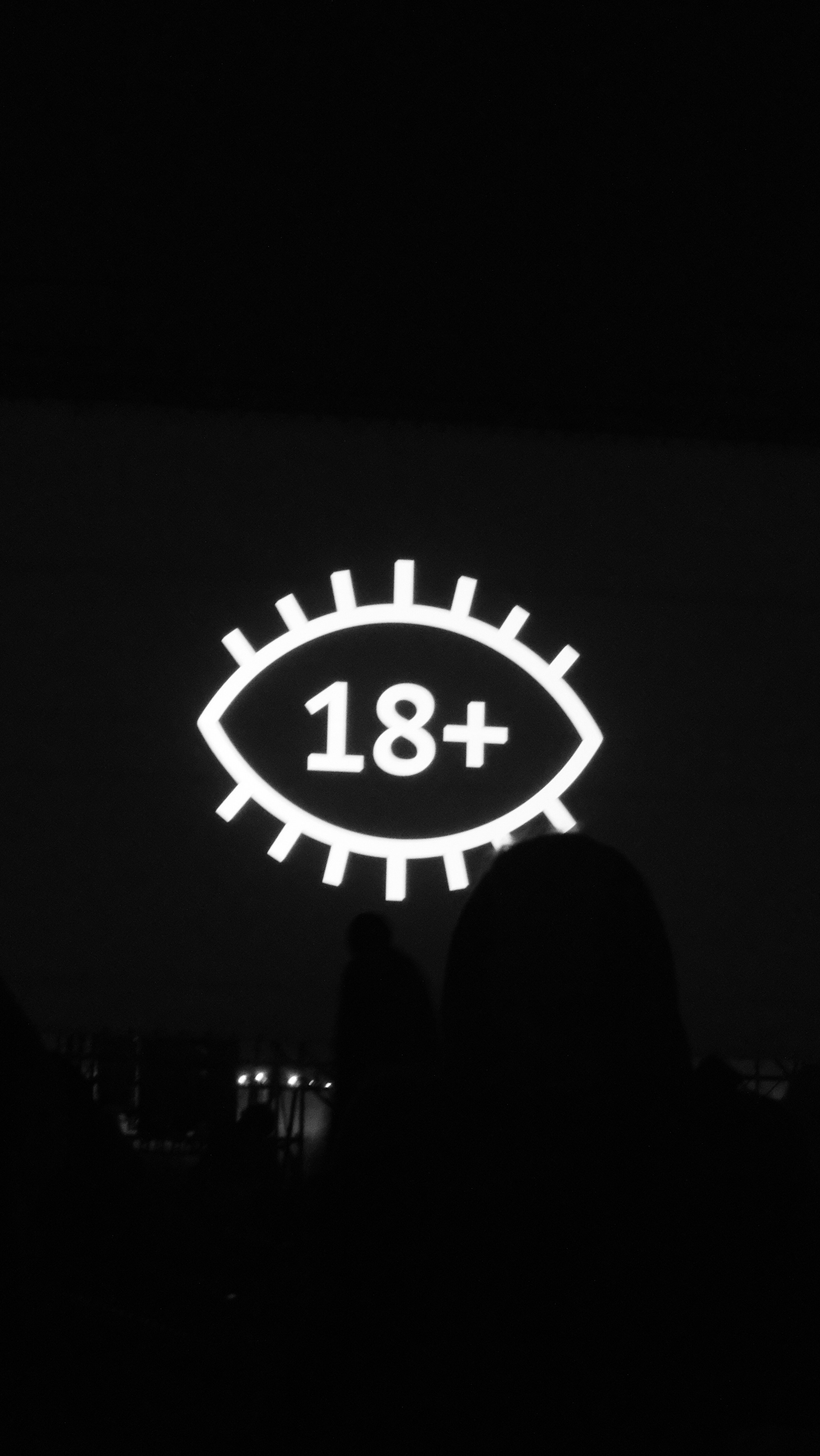 Insomnia2024. Фотограф и видеограф Апокина Мария Москва