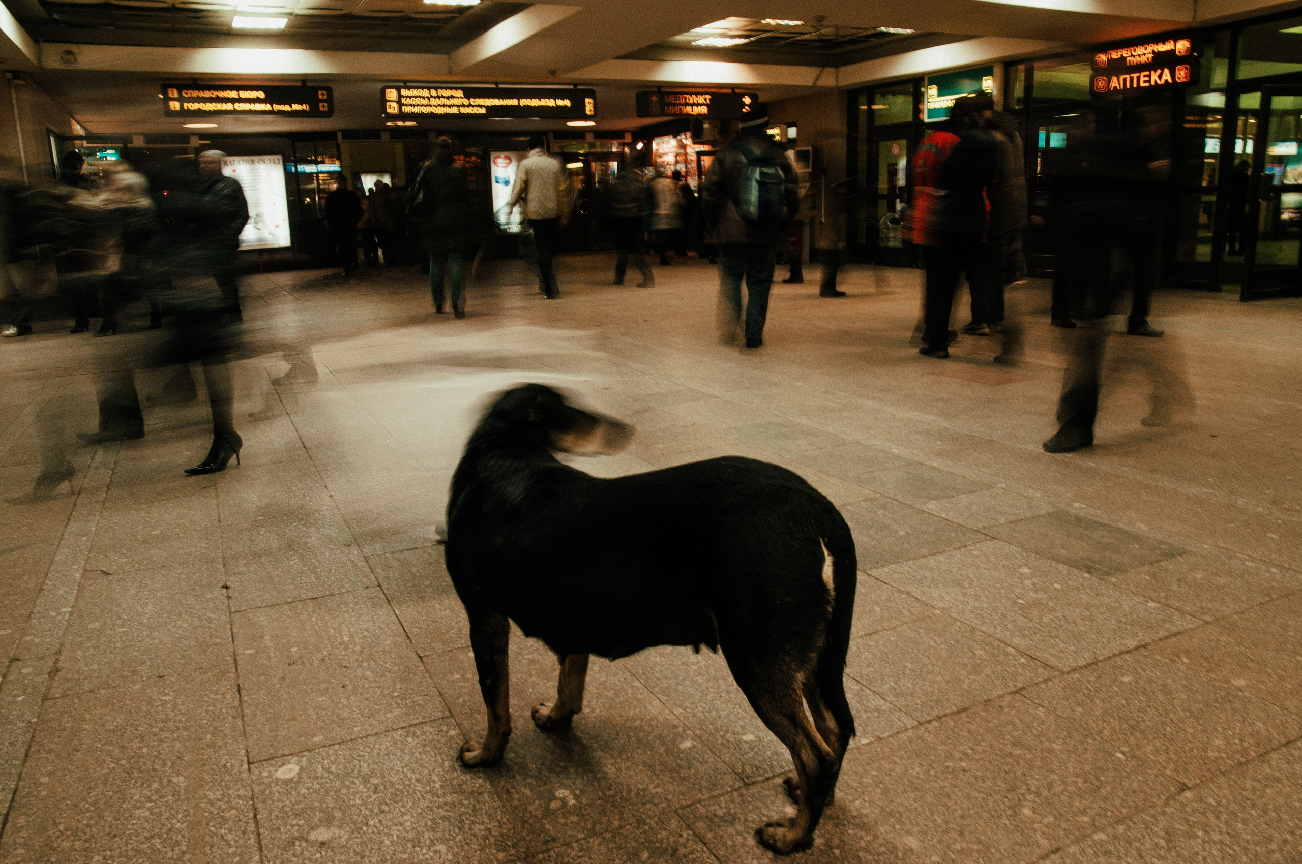 Вокзалы. Фотографии Дмитрия Захаренко