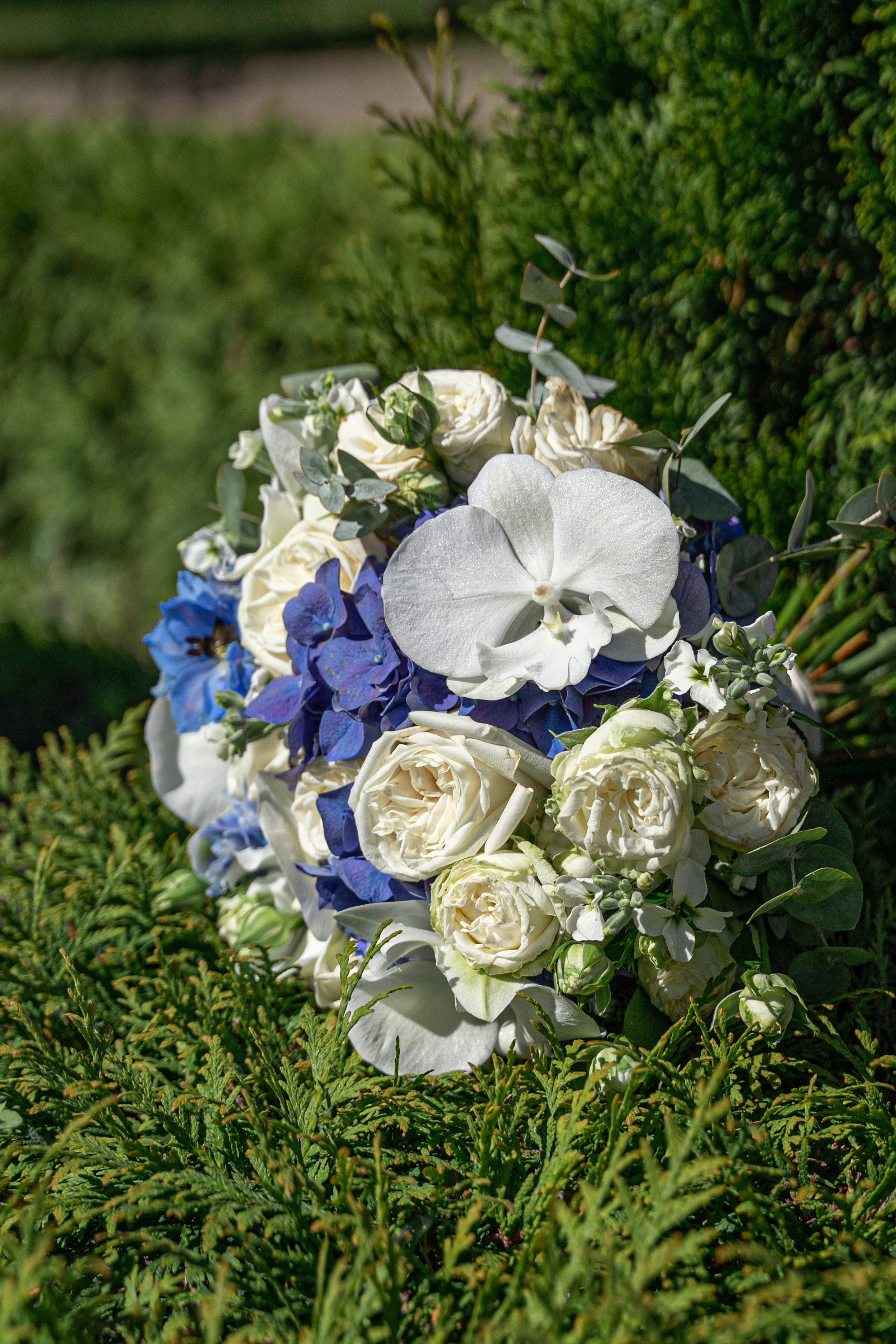 Александр & Сабина. Главная