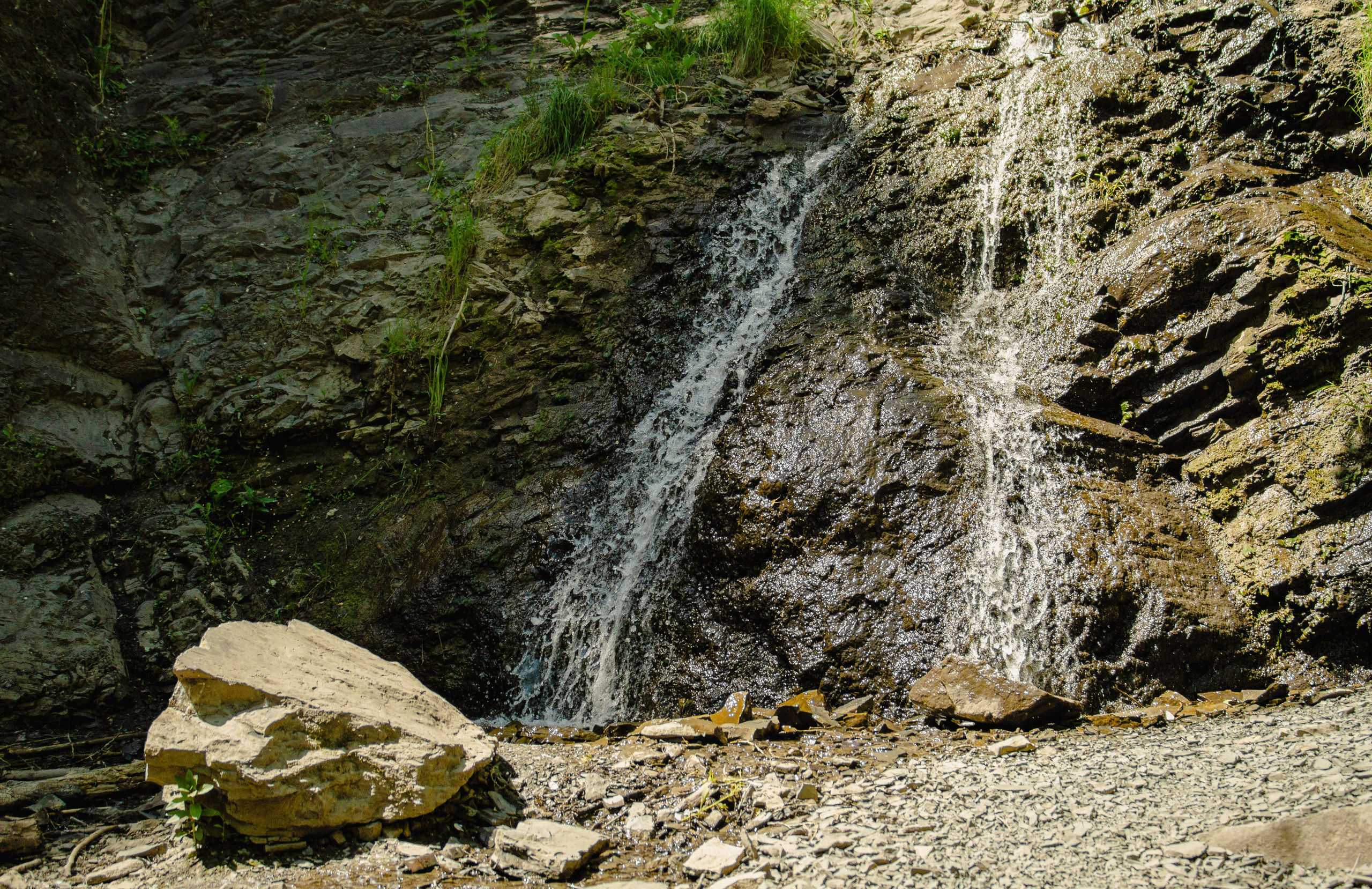 Природа. Фотограф в Новокузнецке