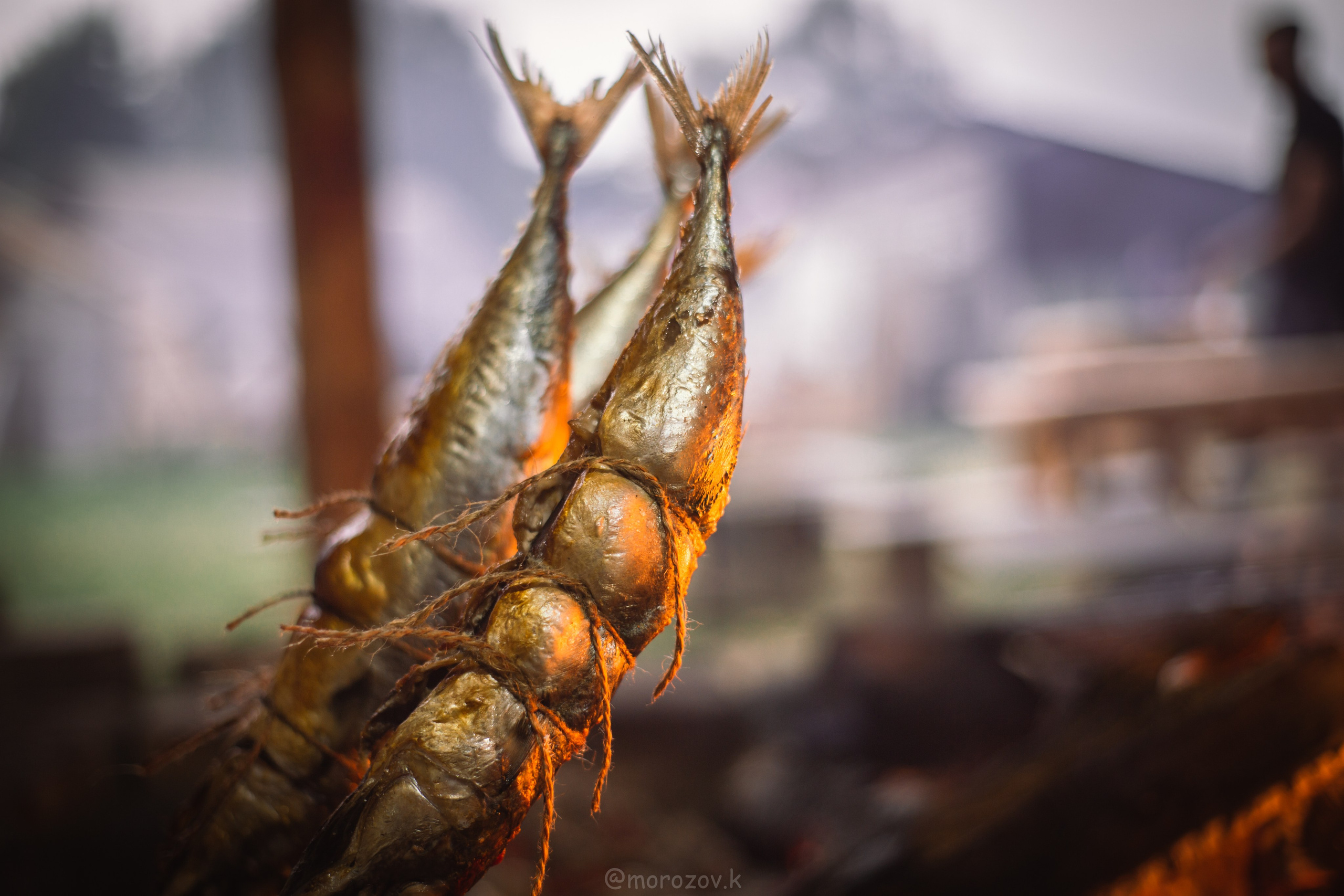 Еда, маркетплейсы, предметные и контент снимки. Репортажный фотограф в Калининграде Морозов Кирилл