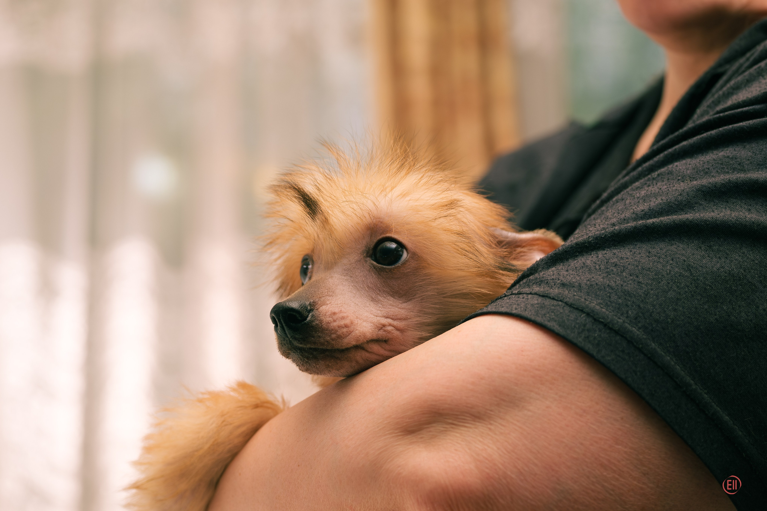 Помёт V. Фотосессия 2. 28.04.2024. Фотограф в Москве