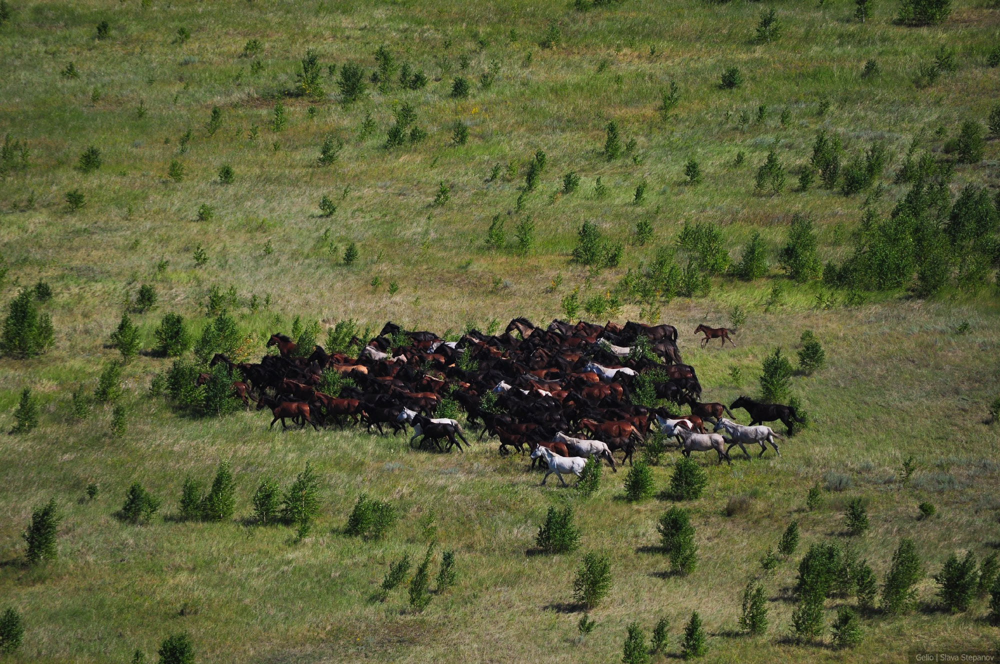 Природа. Фотограф Слава Степанов, Gelio