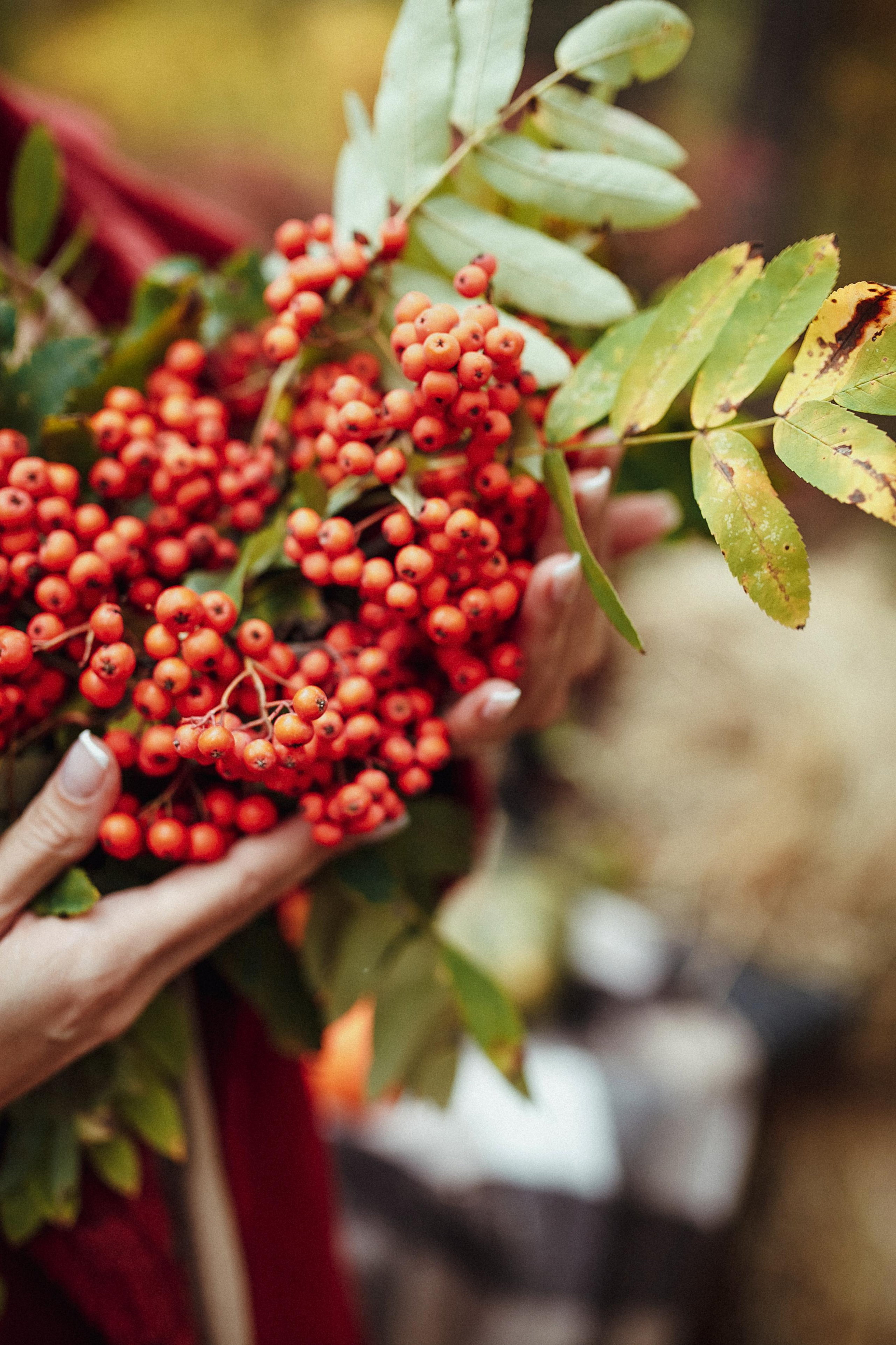 Осенний фотодень с тыквами. Мария Князева — эксперт по личному бренду — фотограф Воронеж