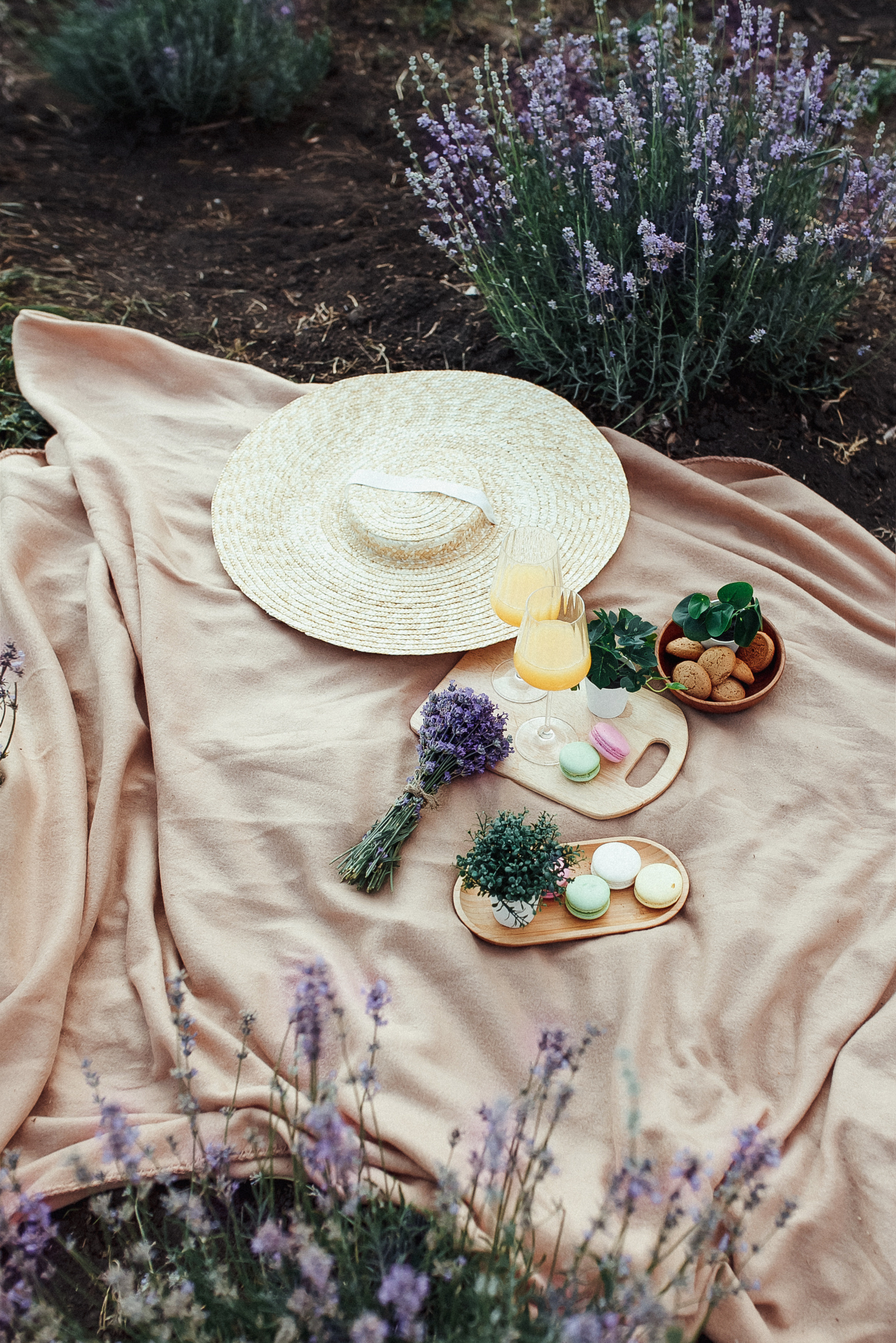 ЛИЧНАЯ СЪЁМКА — Катя лавандовое поле. Мария Князева — эксперт по личному бренду — фотограф Воронеж