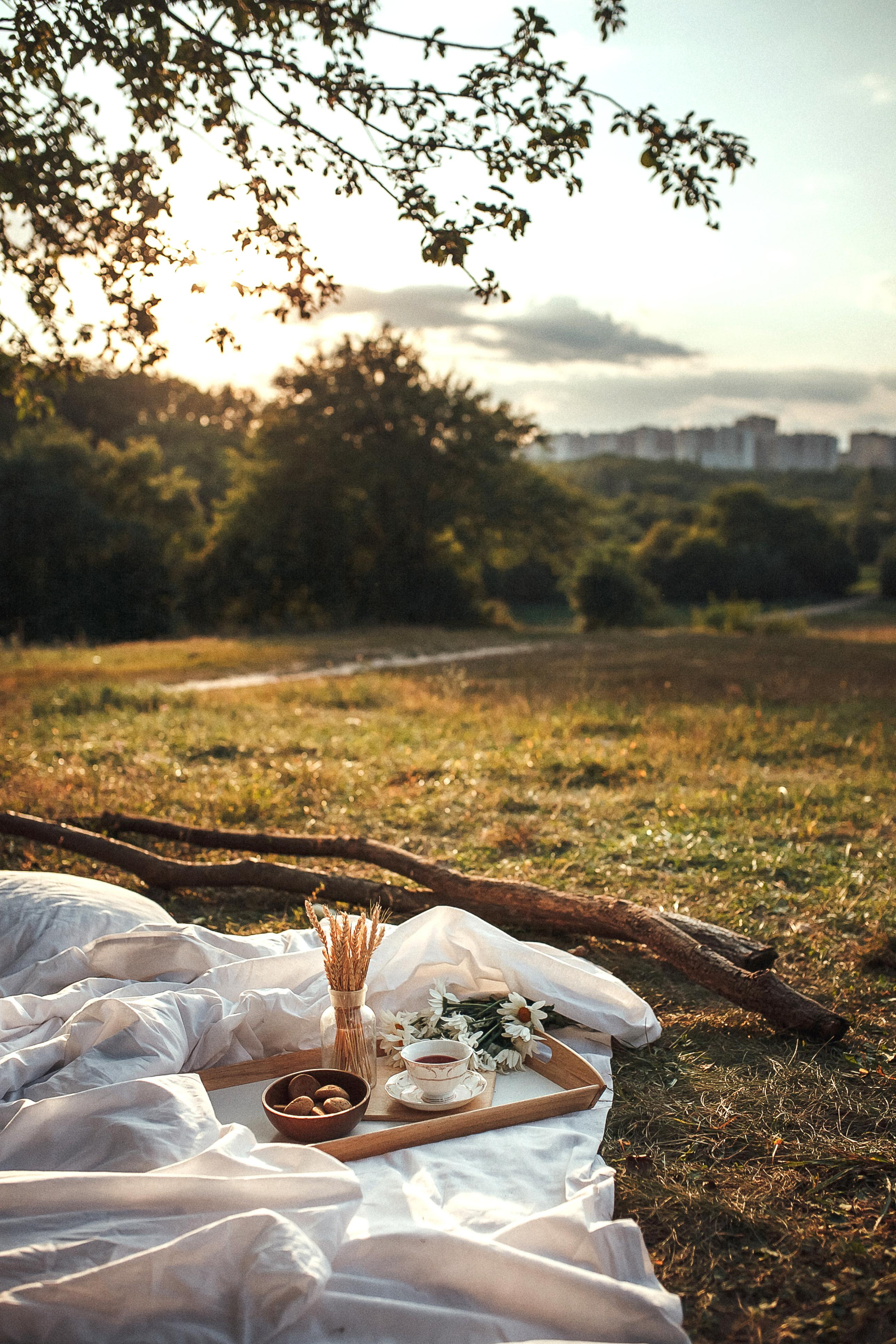 Летний пикник. Мария Князева — эксперт по личному бренду — фотограф Воронеж
