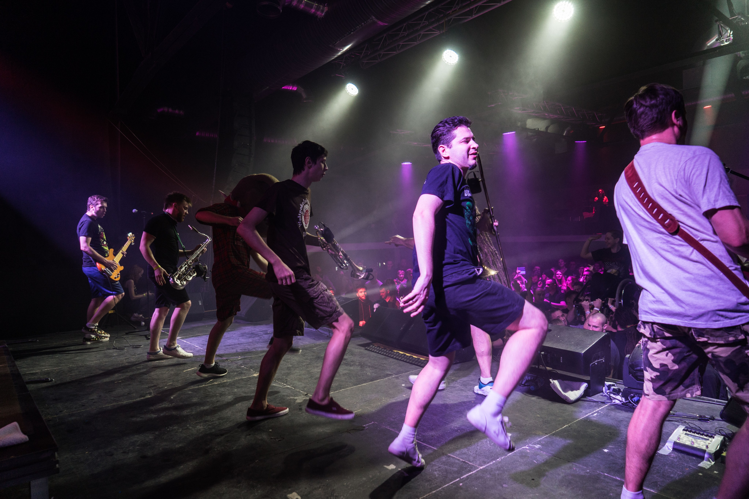 Distamper. Твой фотограф — Полосатый кот