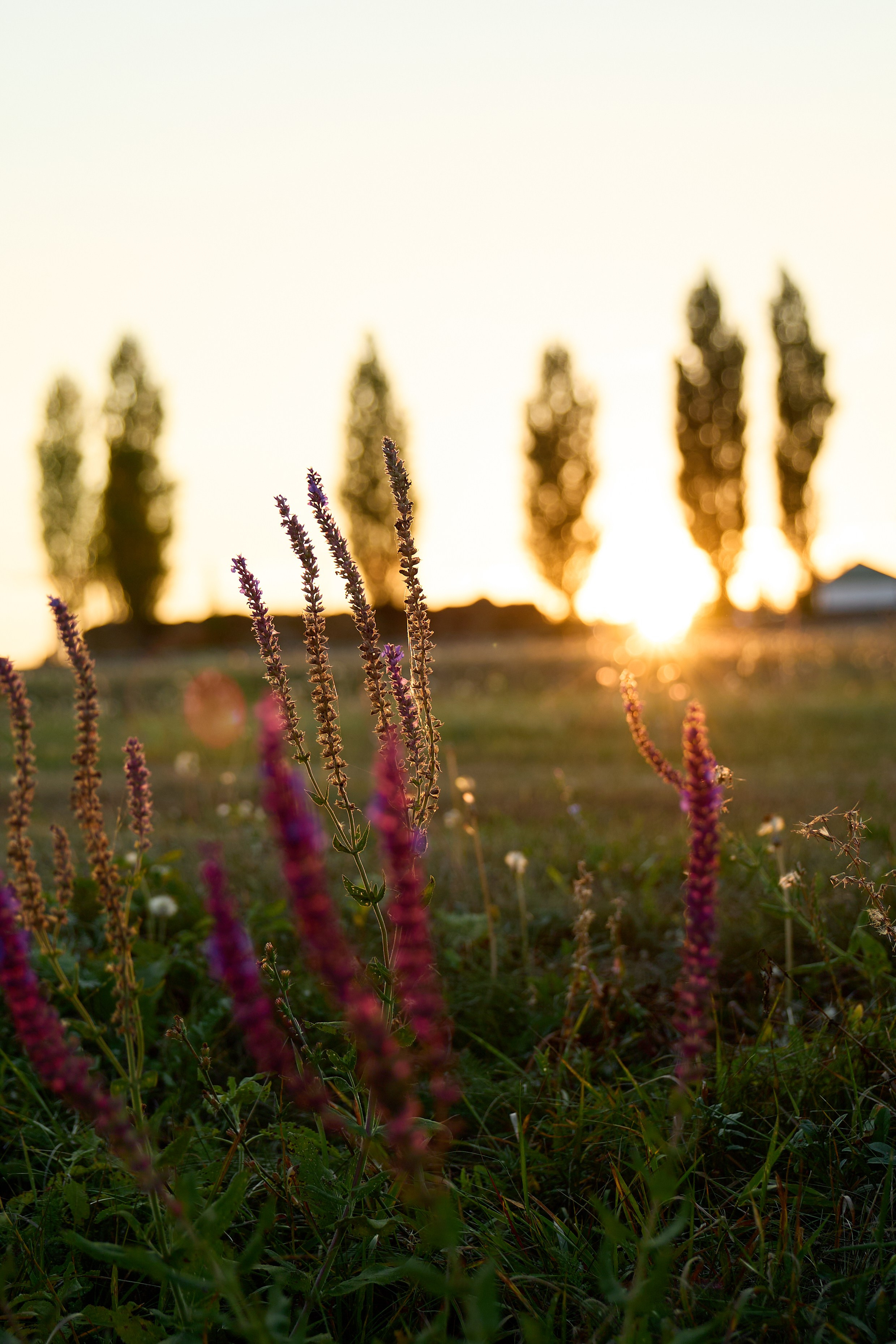 Ломы. Любовь Юсупова. Фотограф