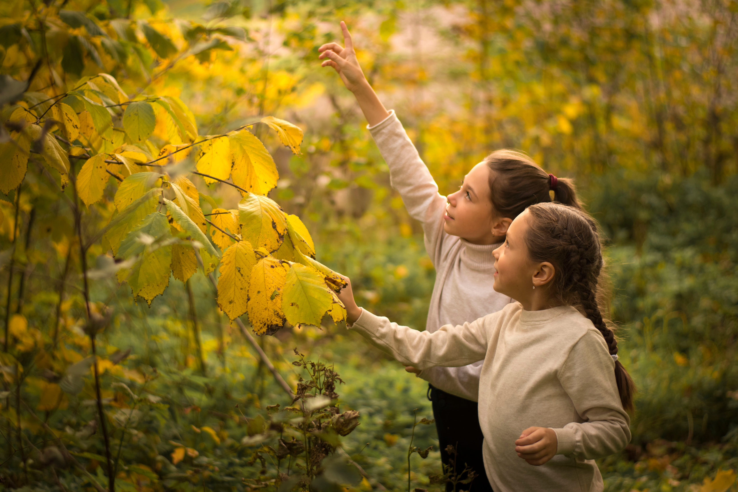 Сентябрь. Сестры. Детская и семейная фотография. г. Луга, Татьяна Котова